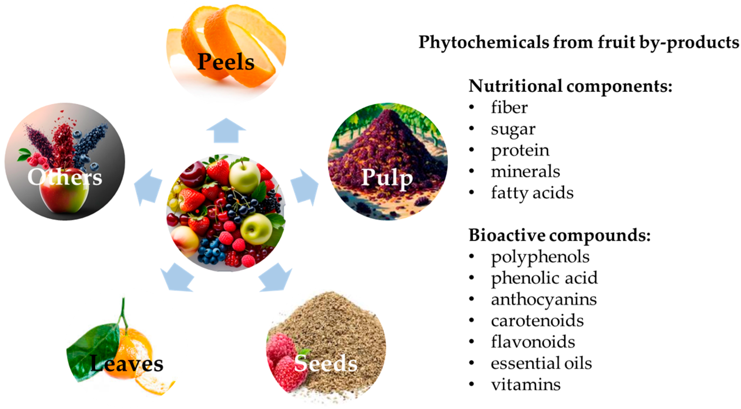 Applsci 15 05790 g001