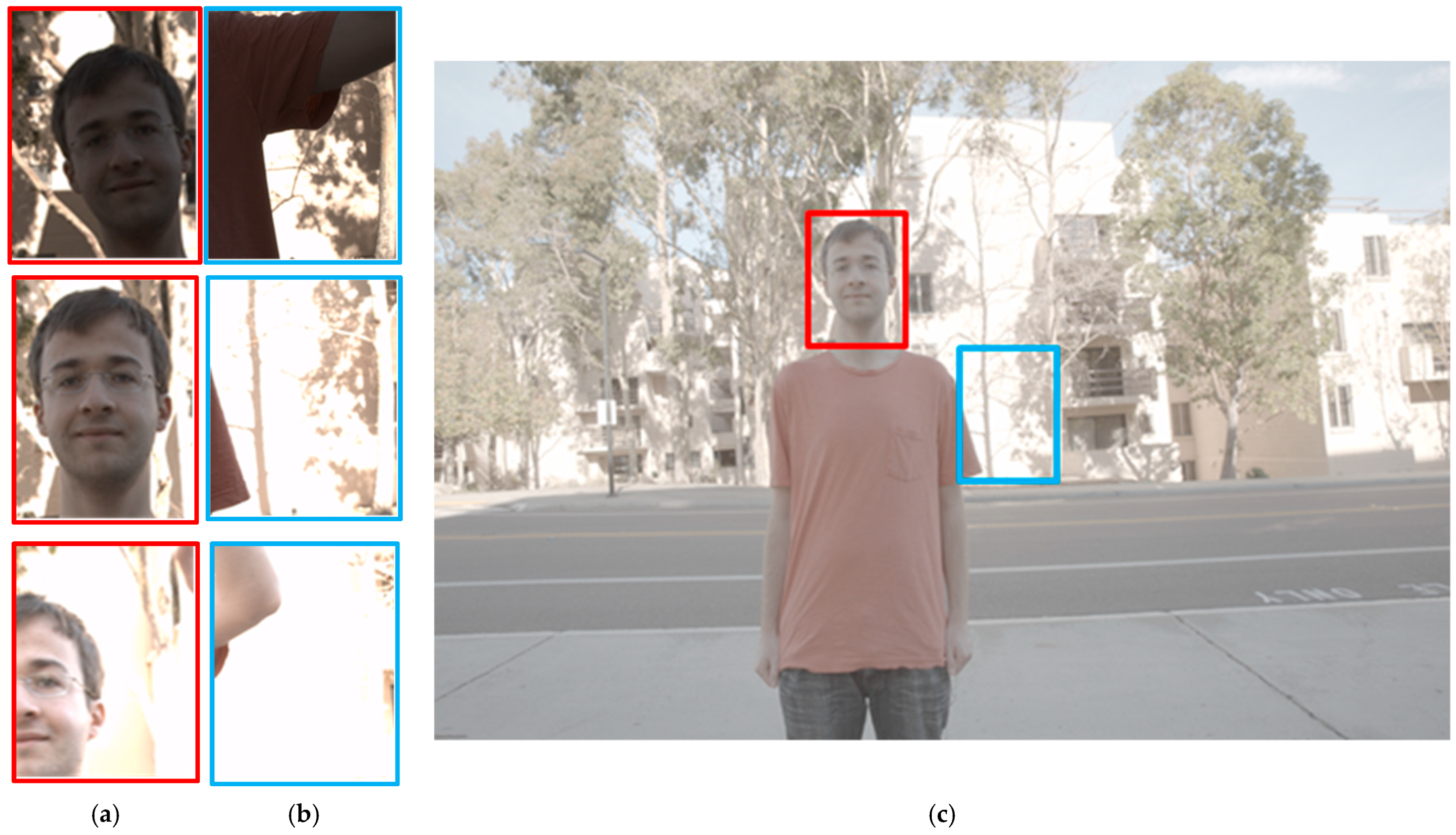 Applsci 15 05819 g007a