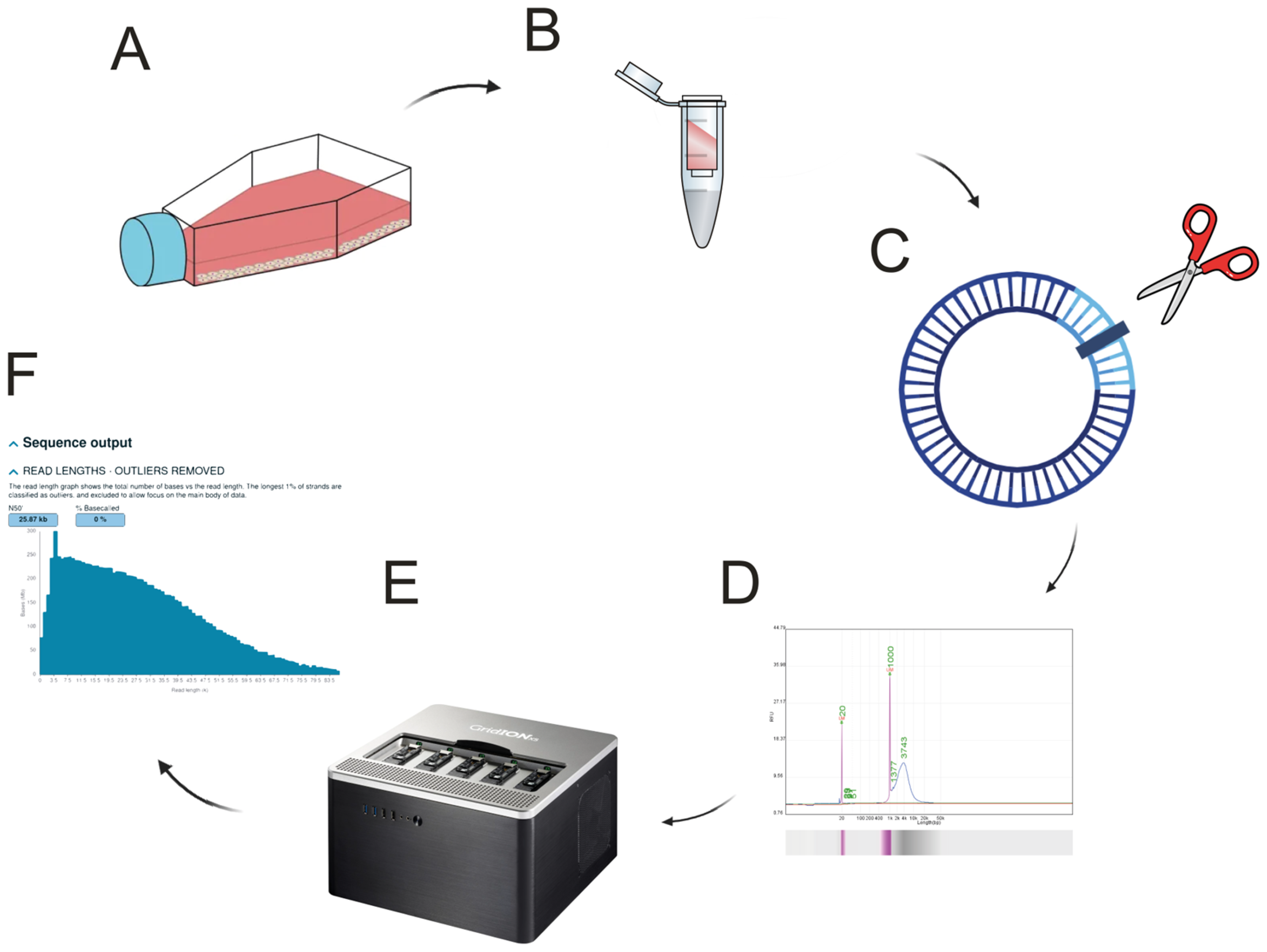 Applsci 15 05822 g001