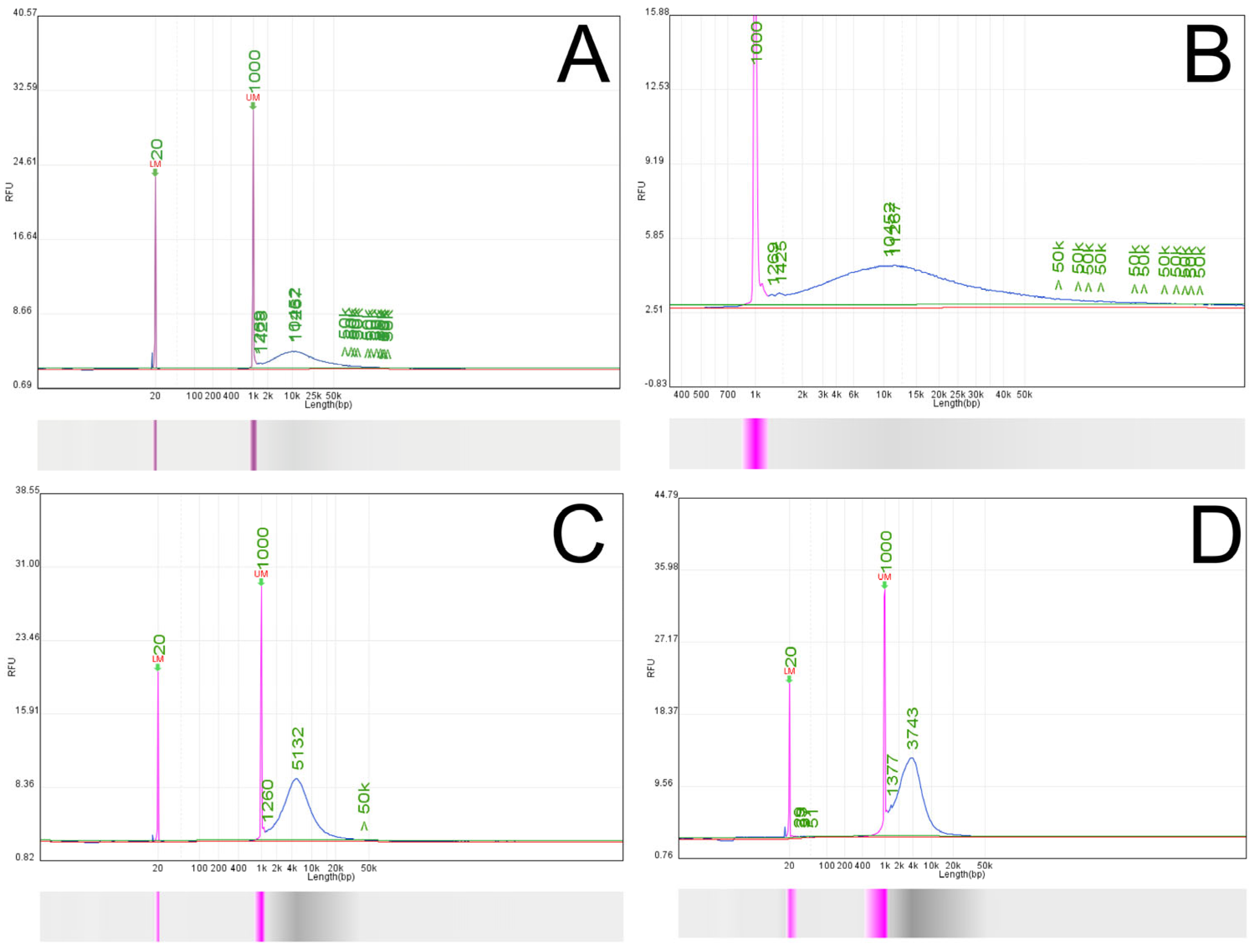 Applsci 15 05822 g002