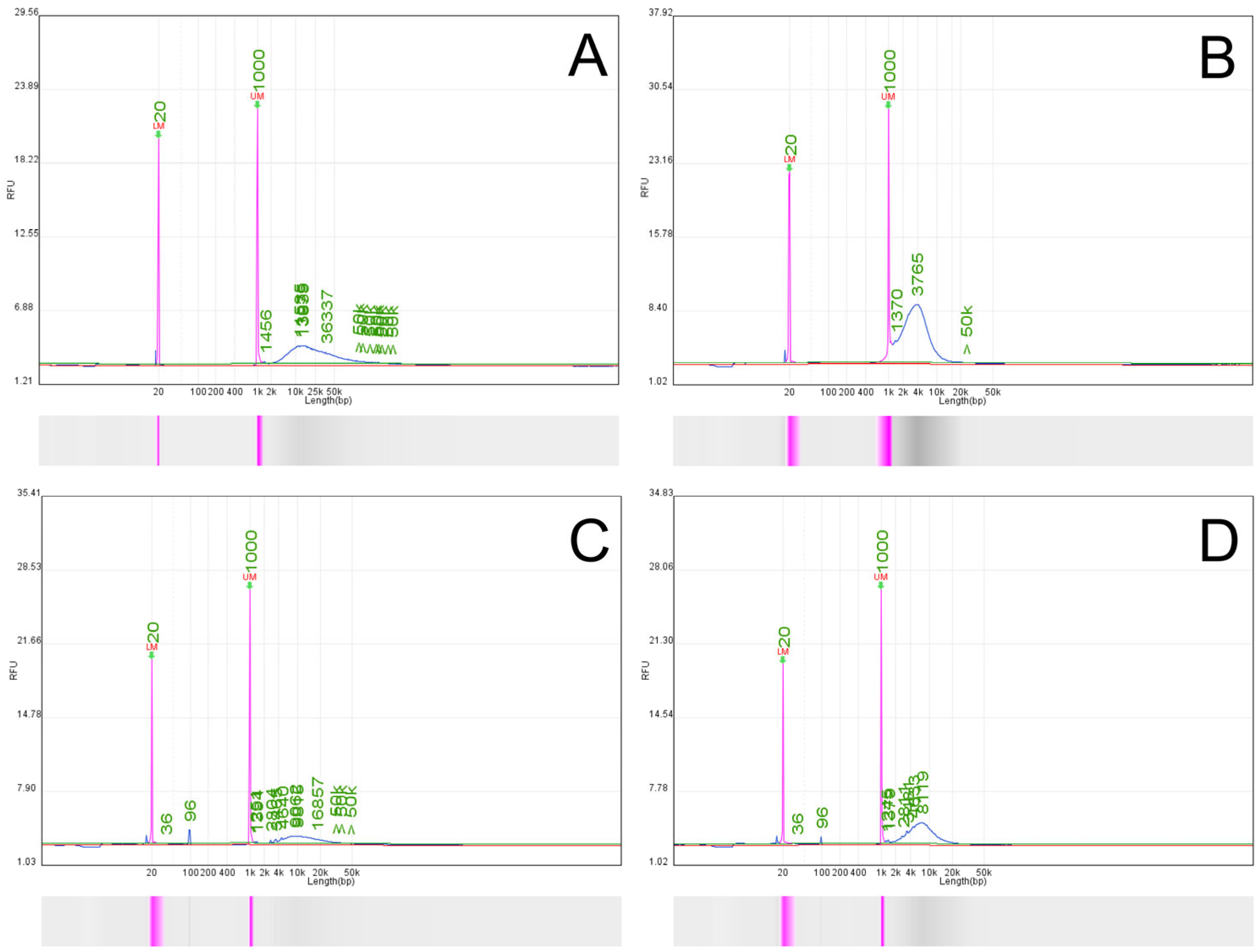 Applsci 15 05822 g003