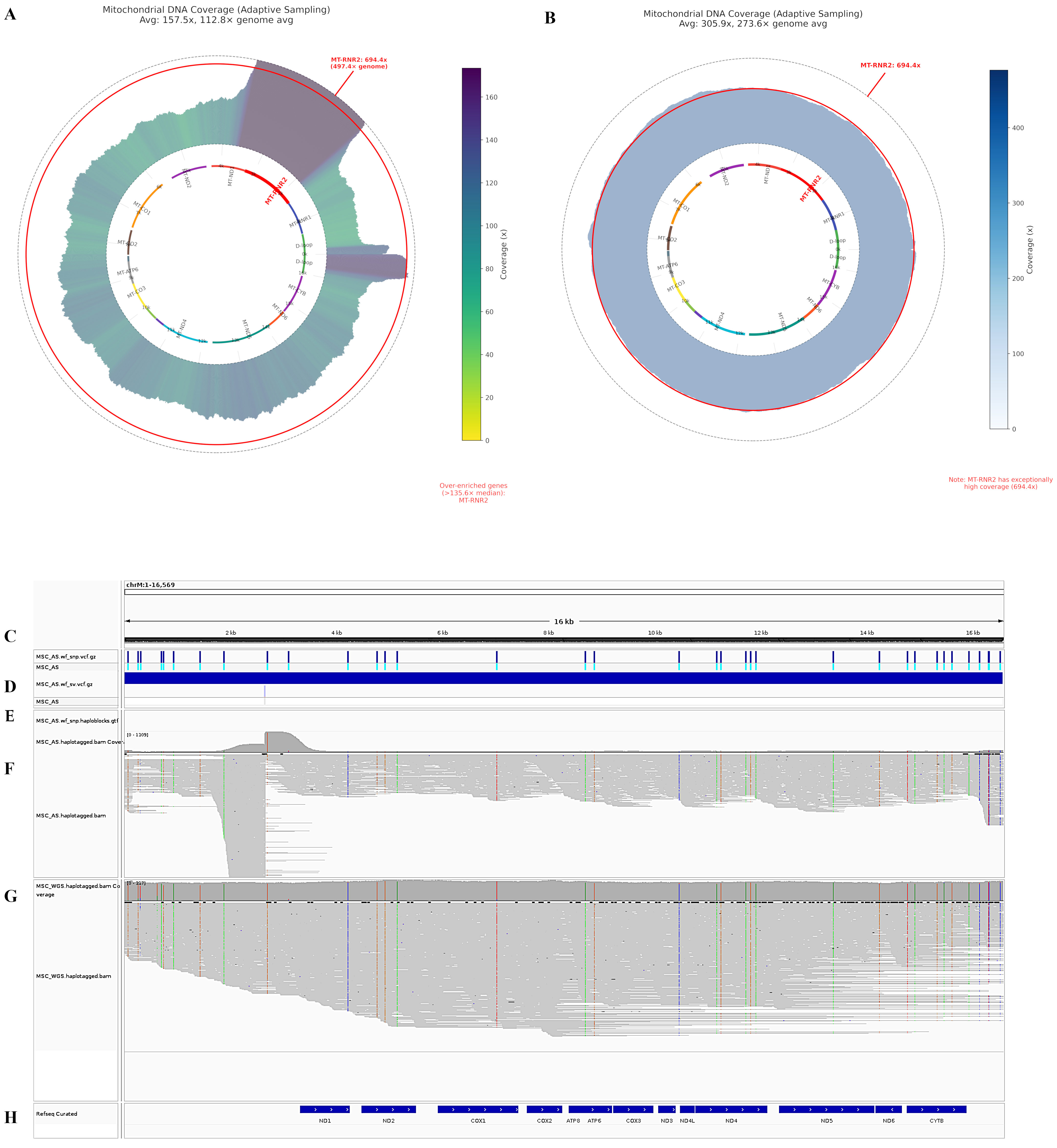 Applsci 15 05822 g005