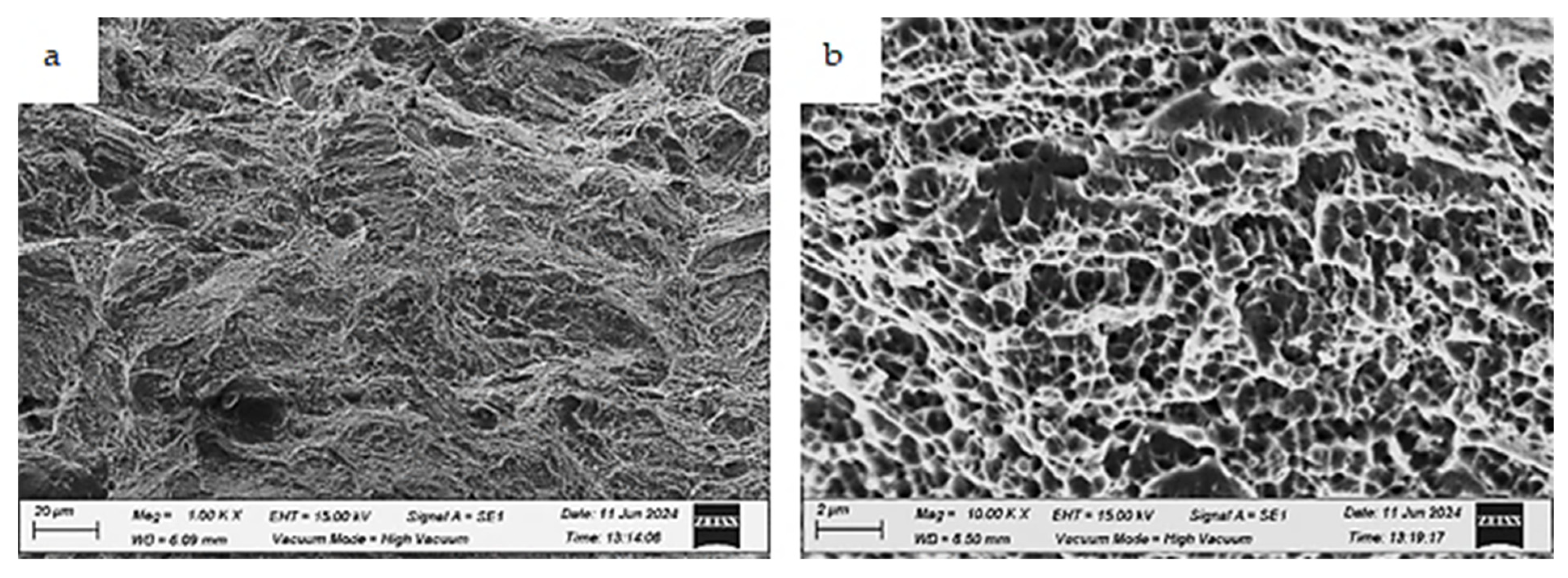 Applsci 15 05824 g020