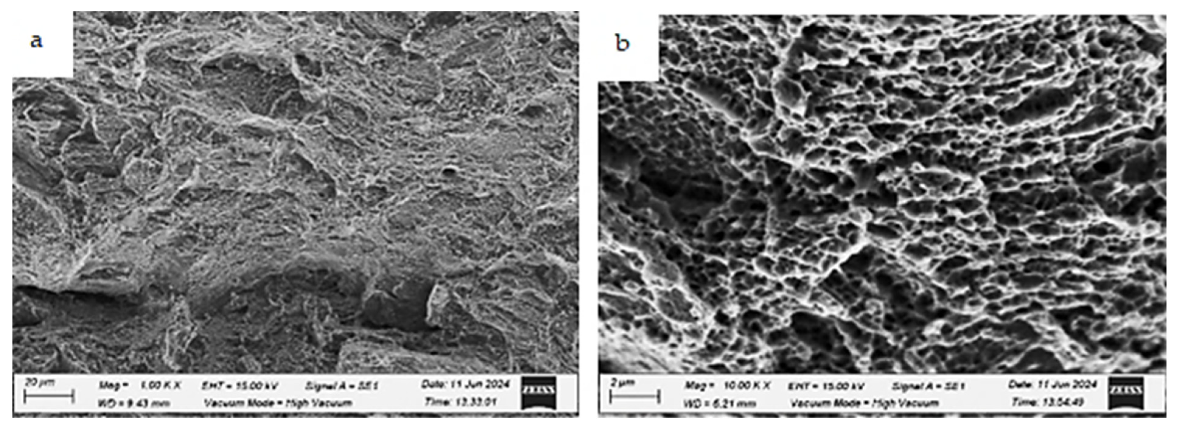 Applsci 15 05824 g023