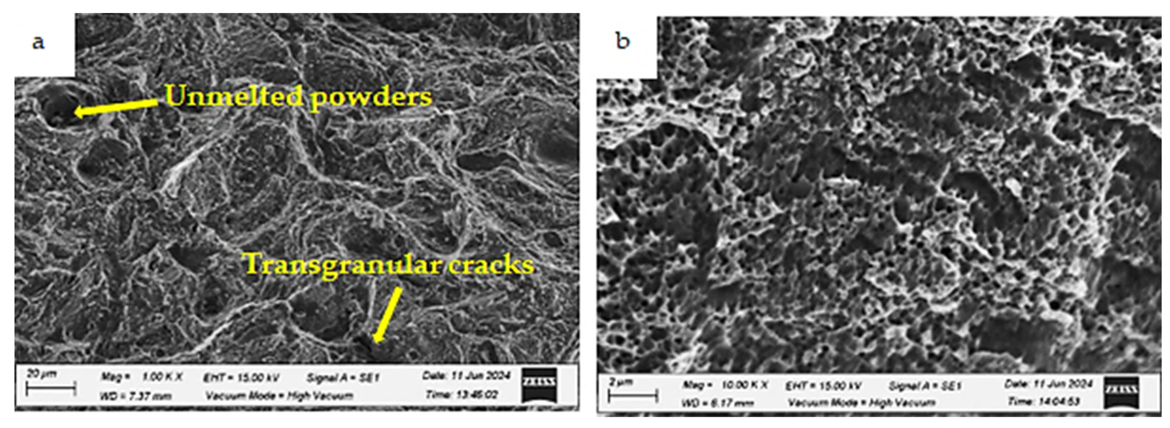 Applsci 15 05824 g024