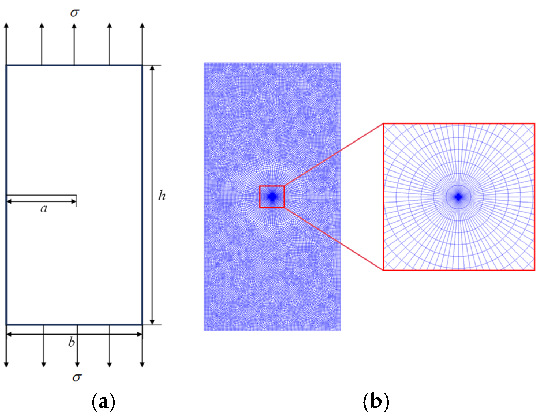Applsci 15 05827 g005