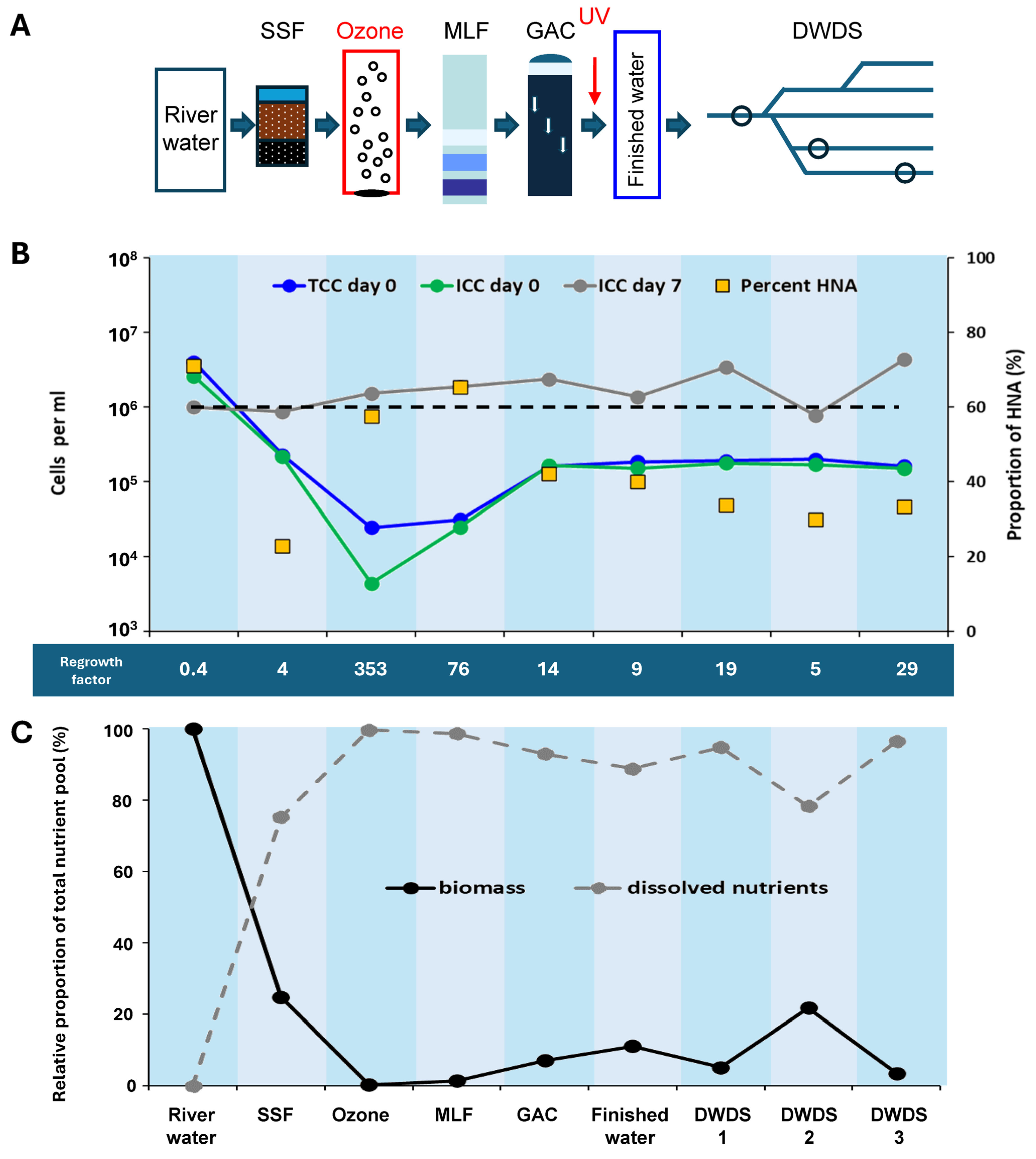 Applsci 15 05843 g001