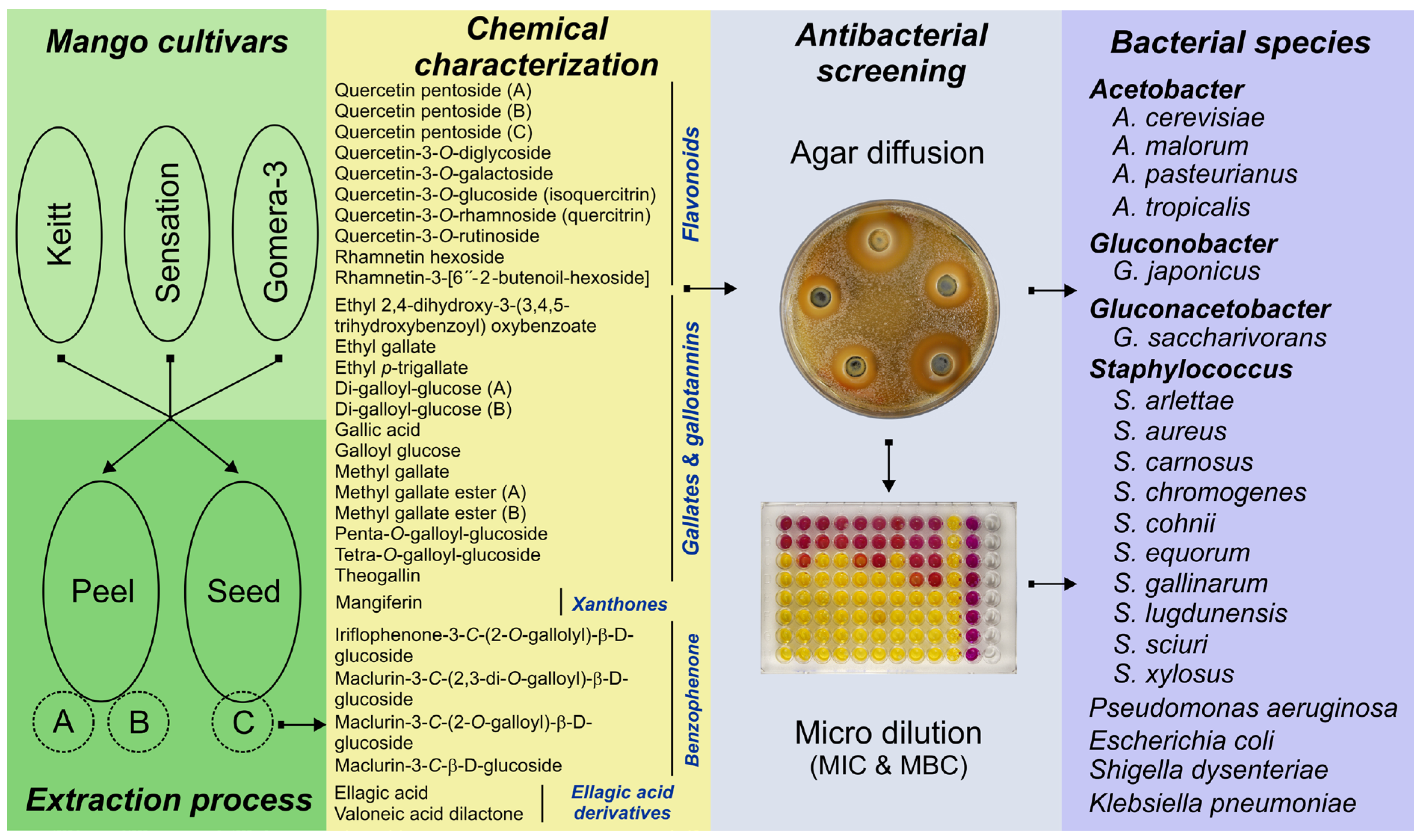 Applsci 15 05845 g001 Applsci 15 05845 g001
