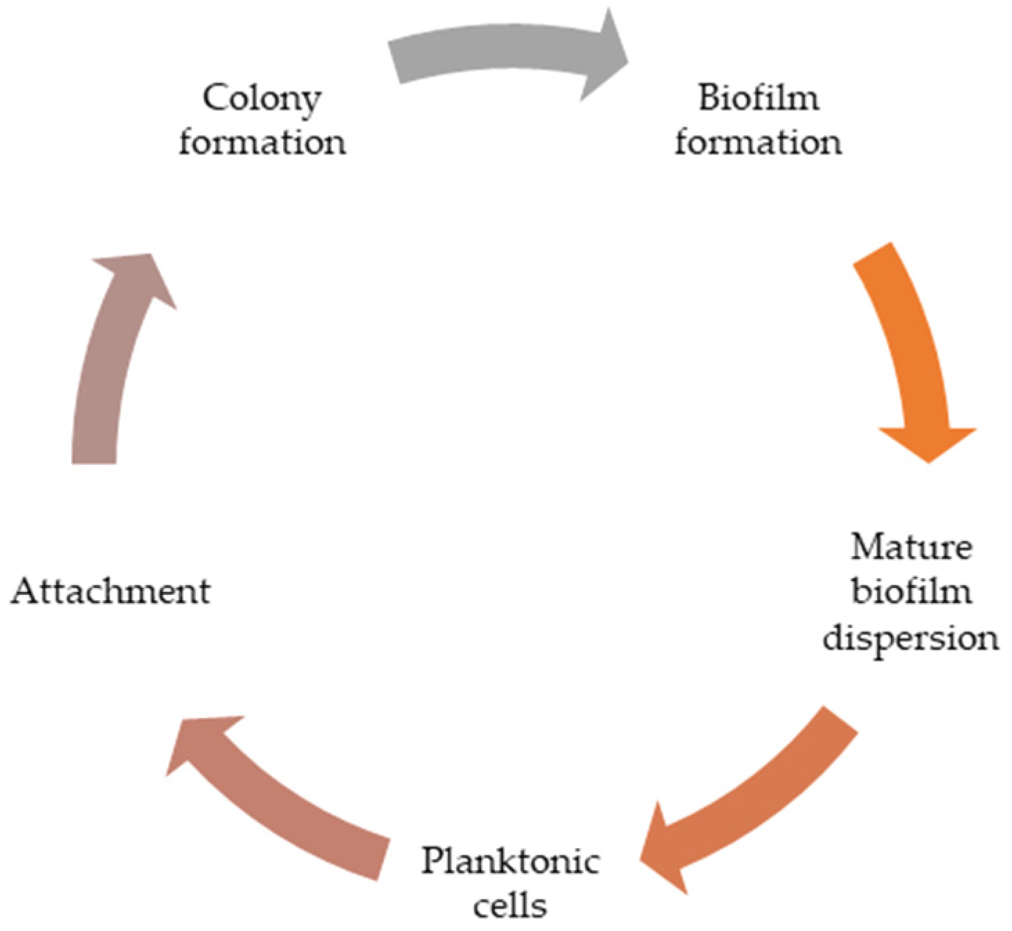 Applsci 15 05847 g001