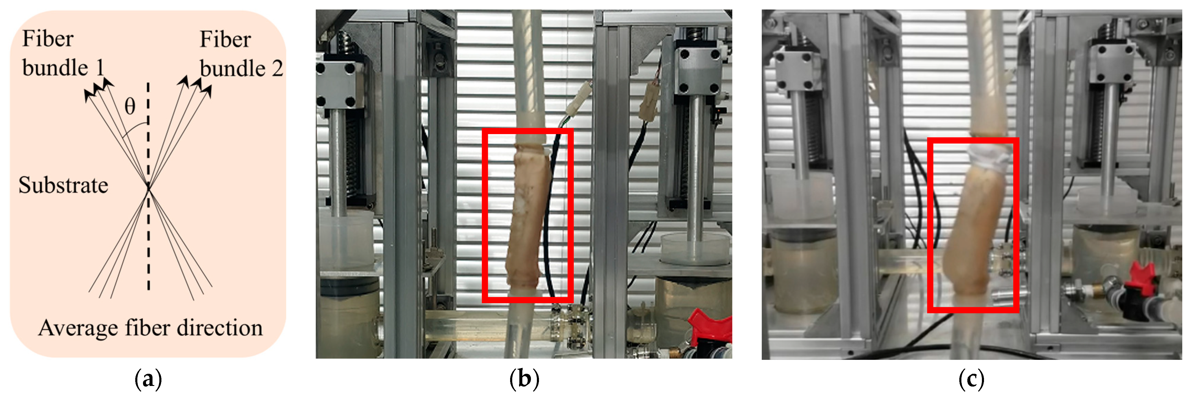 Applsci 15 05853 g001