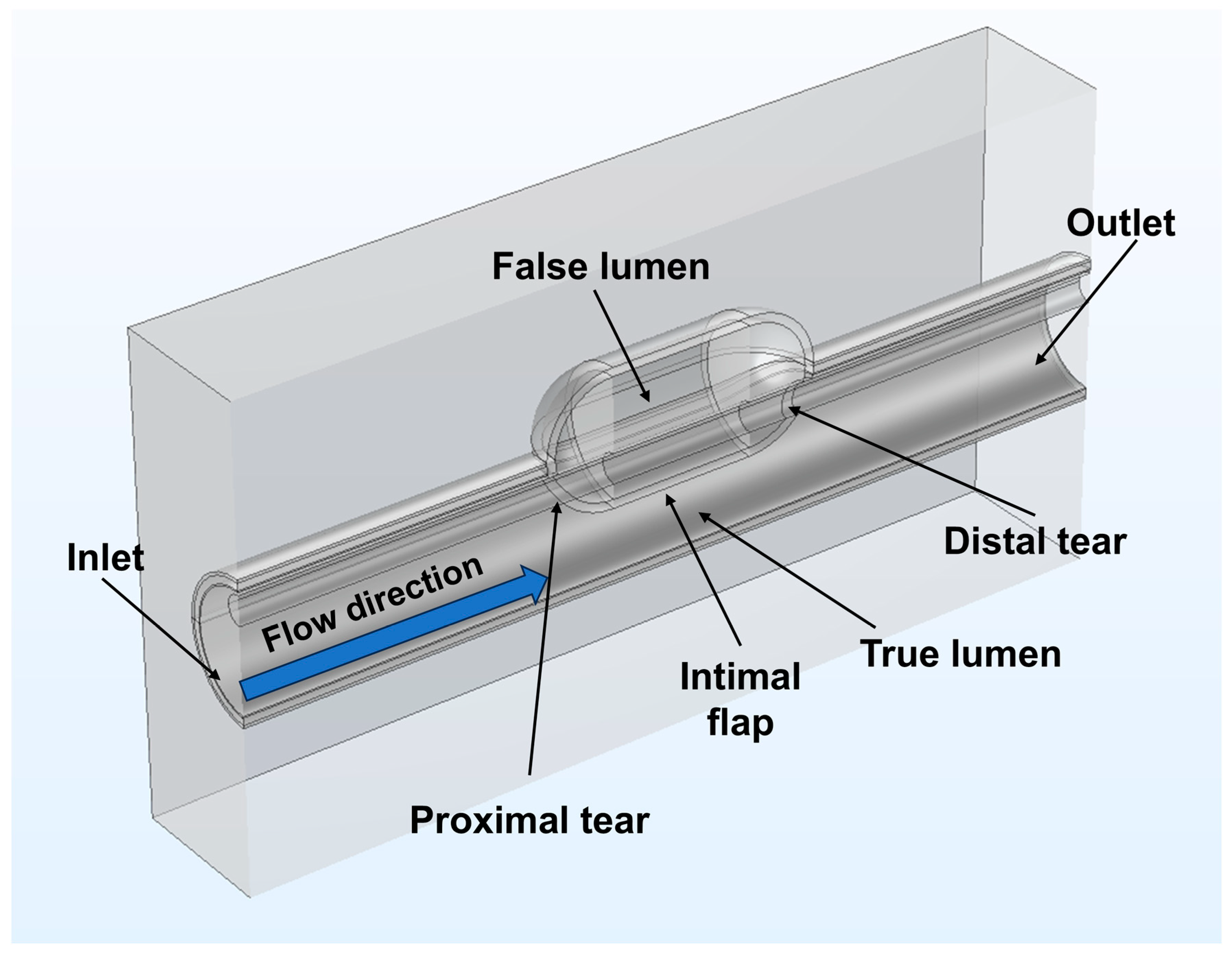 Applsci 15 05853 g005