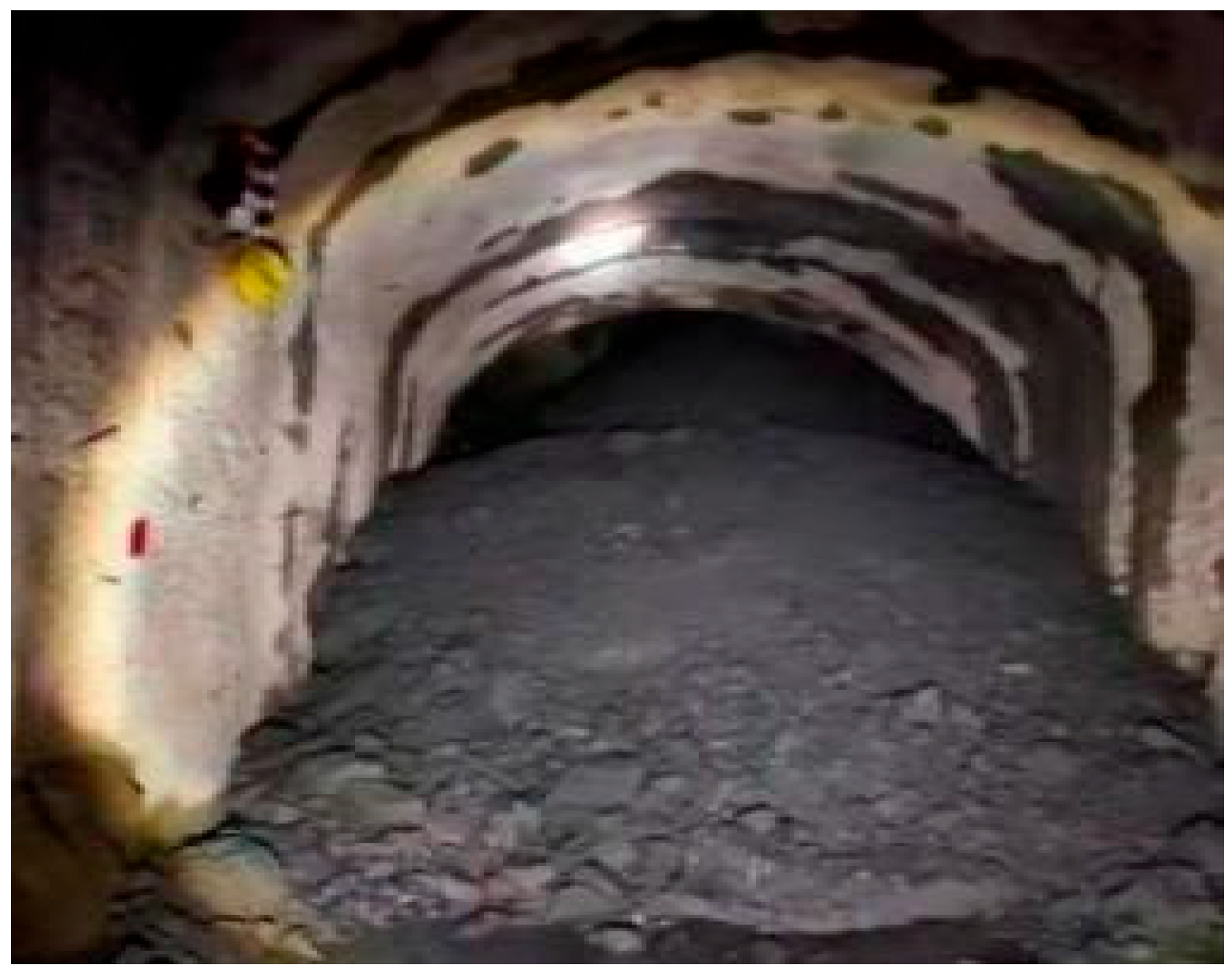 Applsci 15 05854 g001