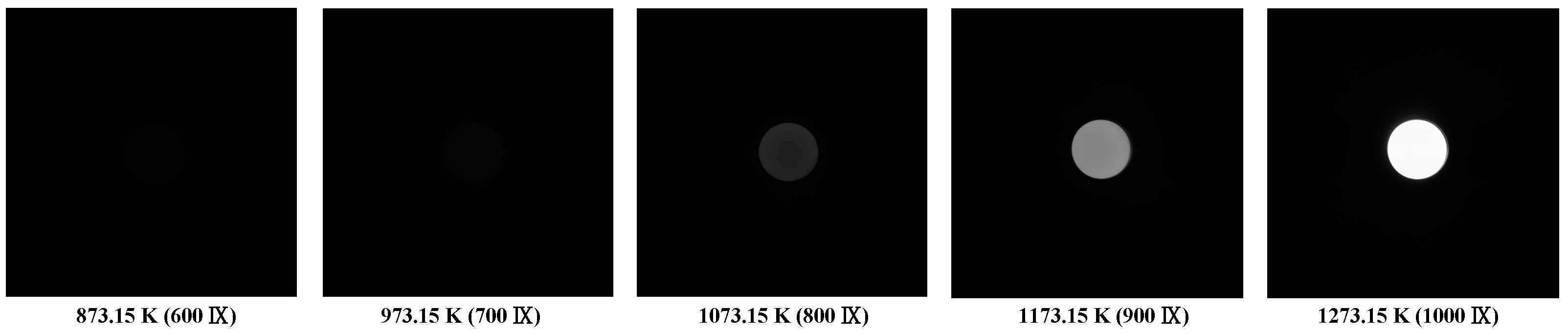 Applsci 15 05864 g009