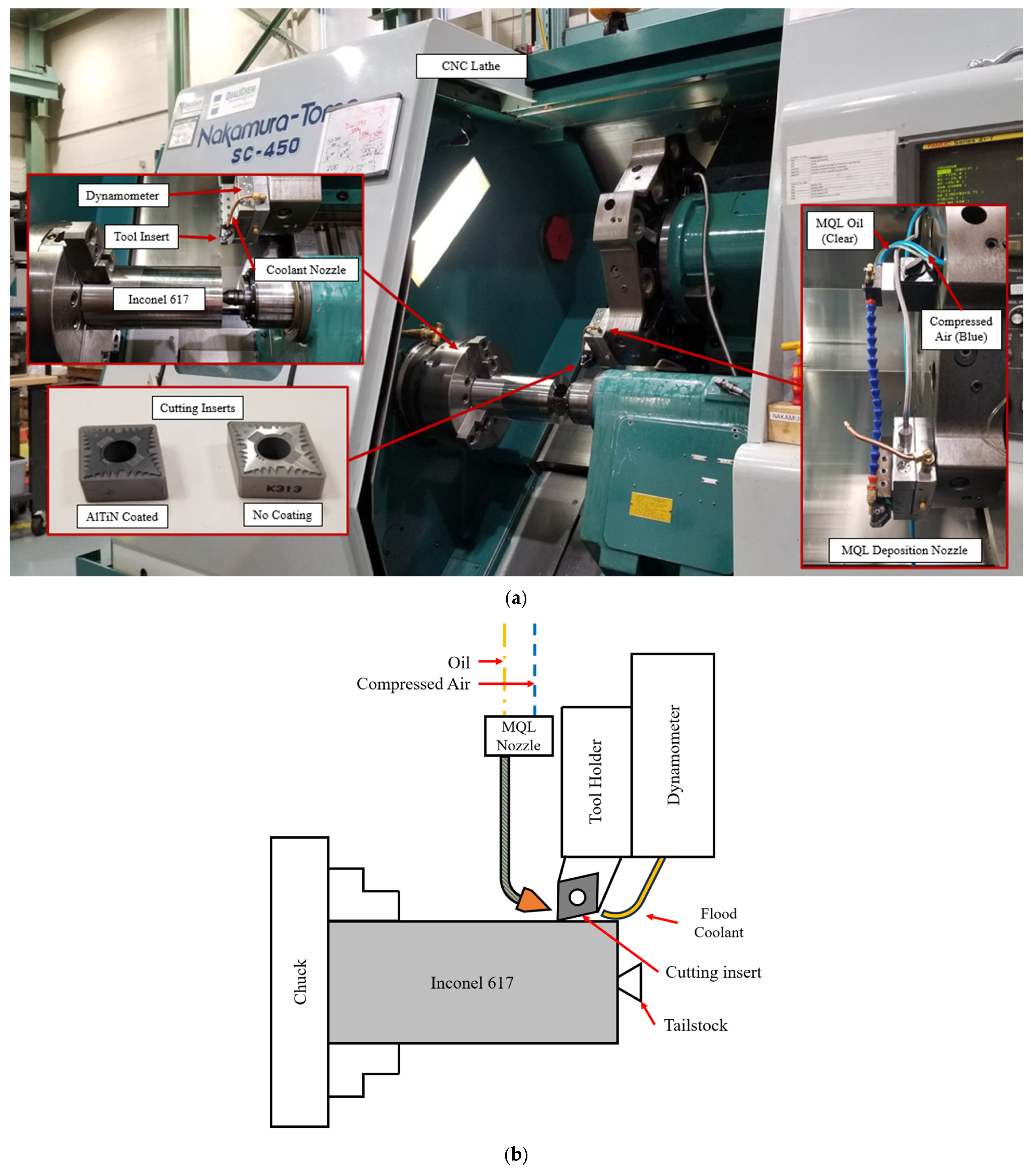 Applsci 15 05869 g001