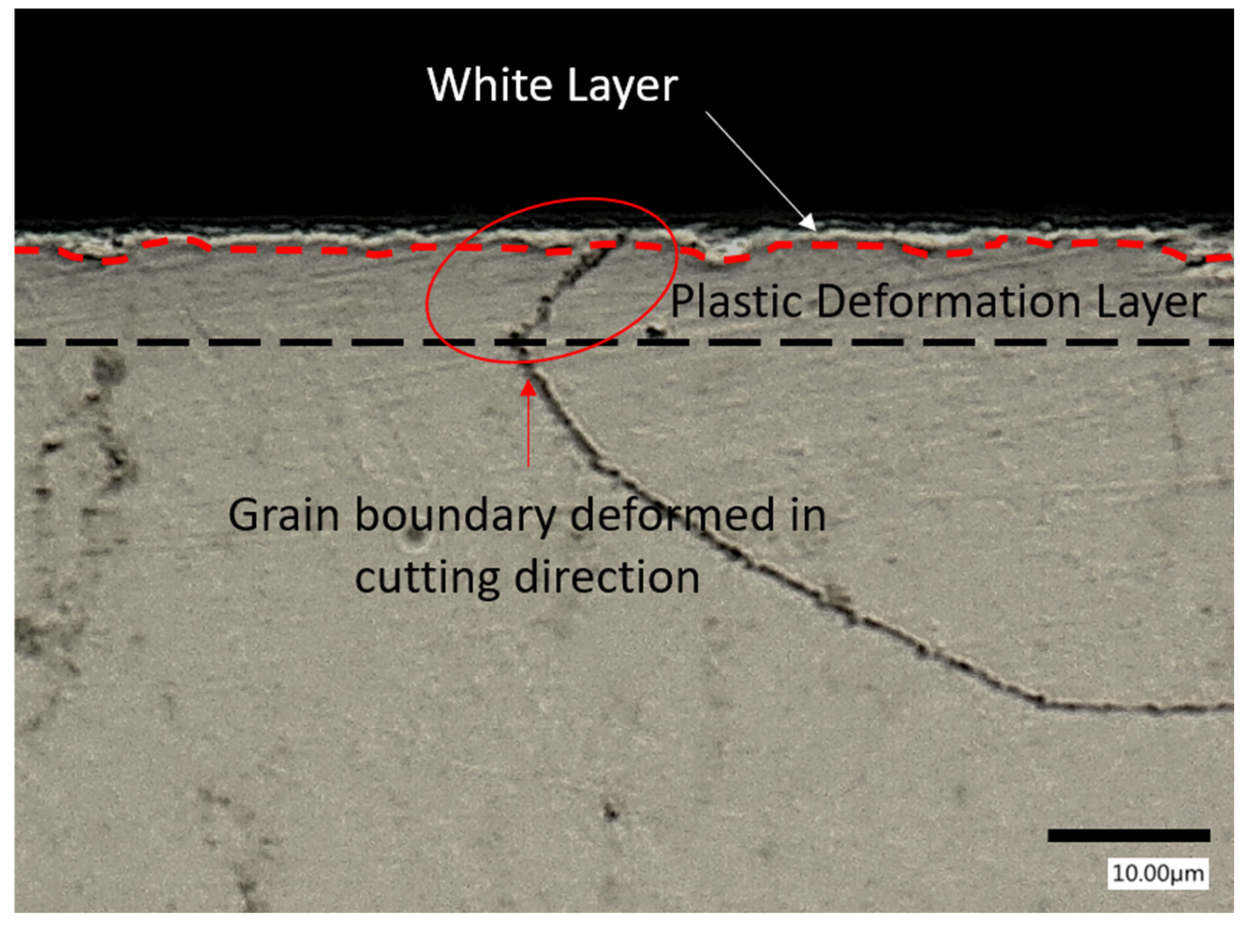 Applsci 15 05869 g008