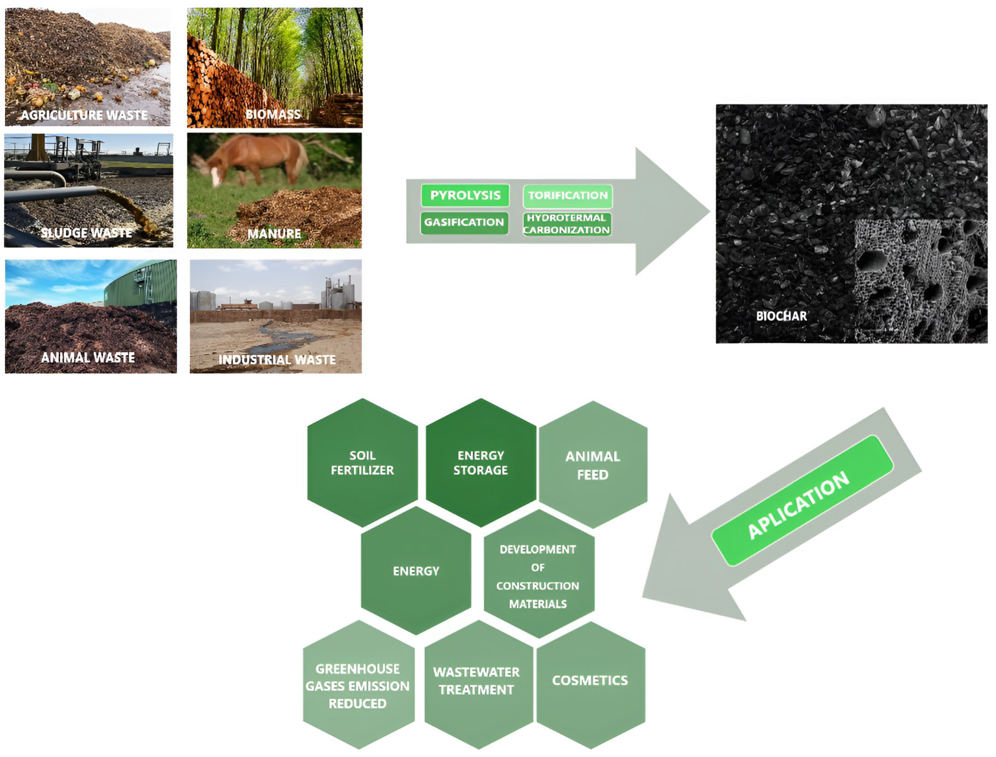 Applsci 15 05882 g001