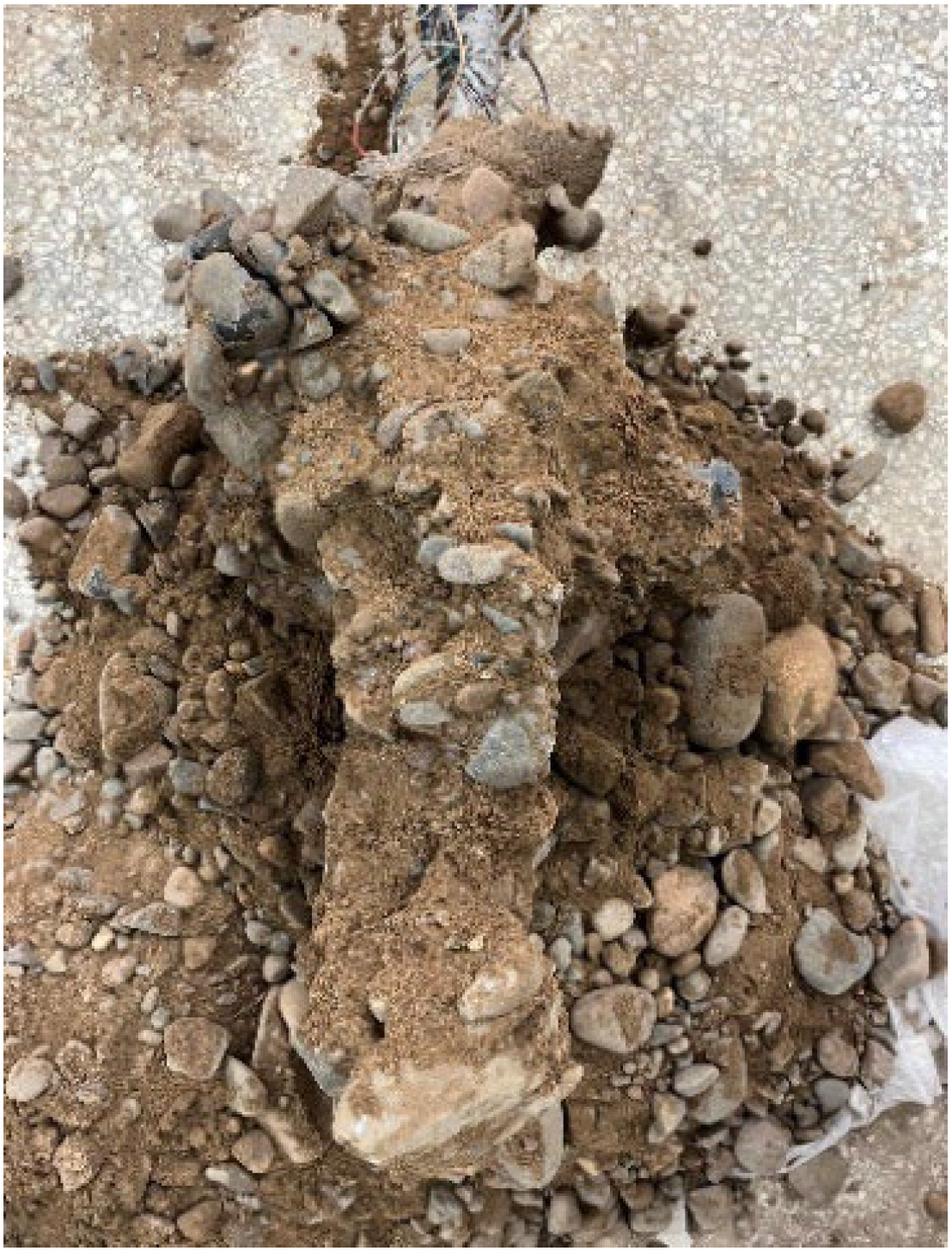 Applsci 15 05888 g005