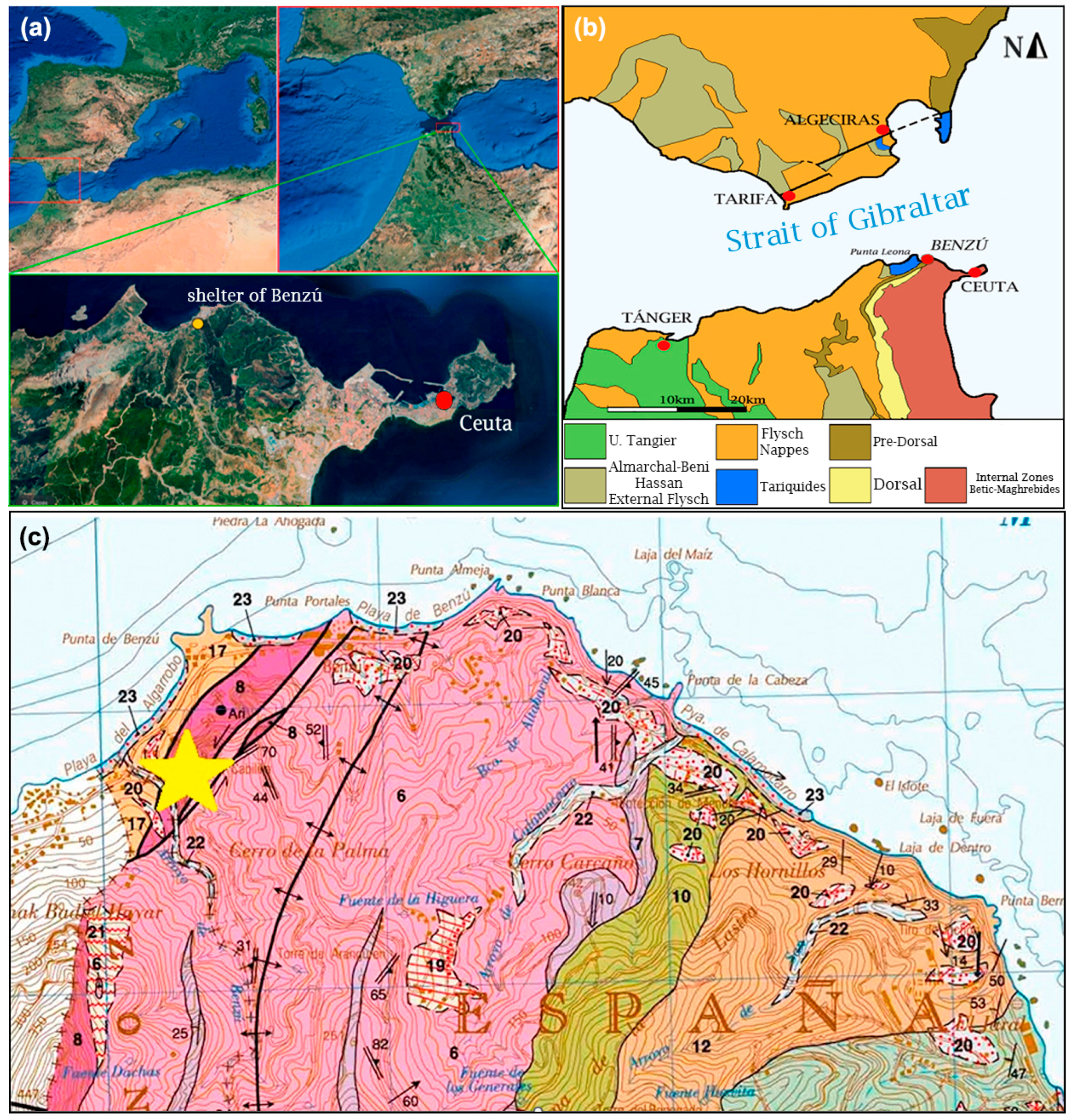 Applsci 15 05893 g001