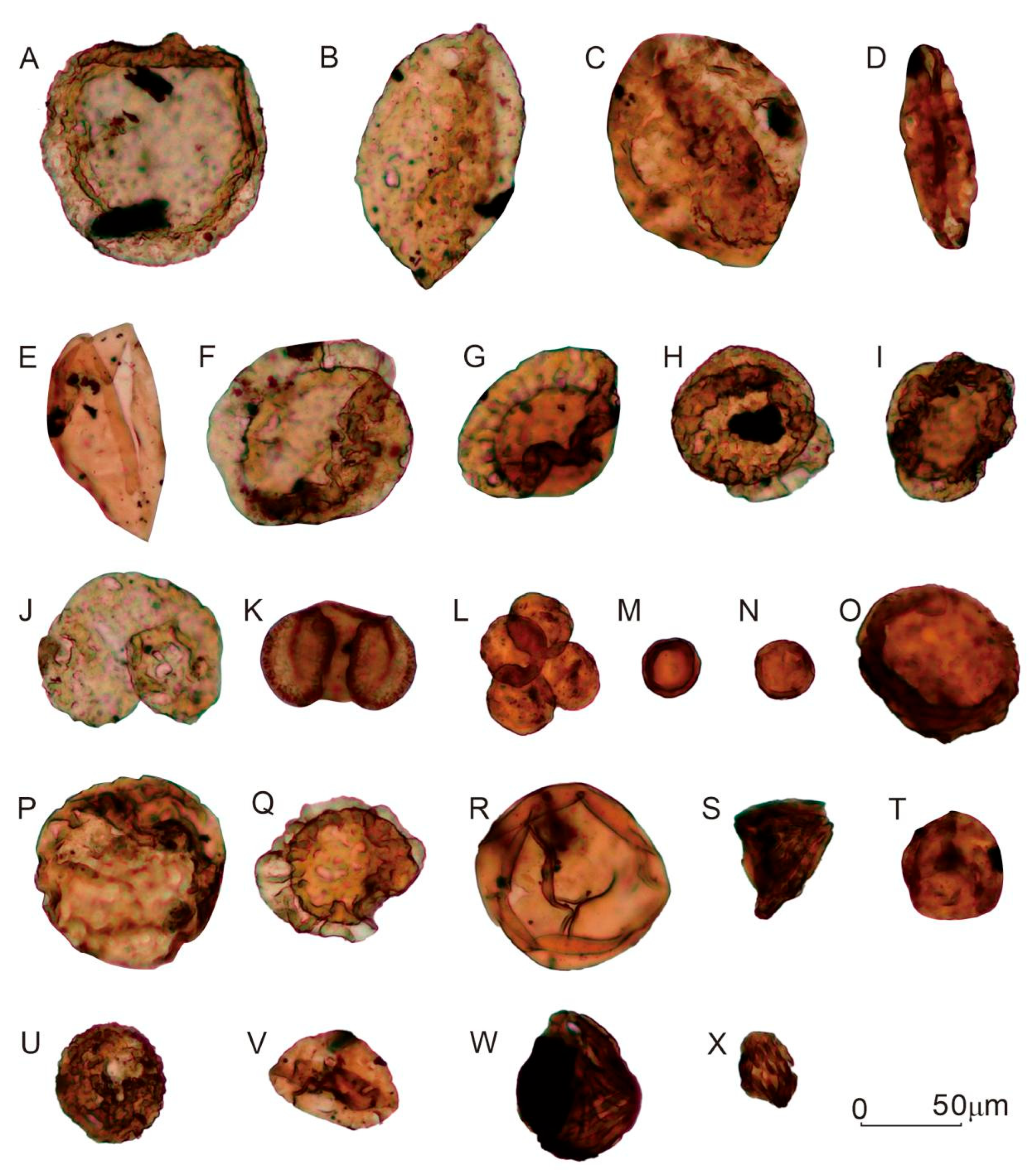 Applsci 15 05900 g004