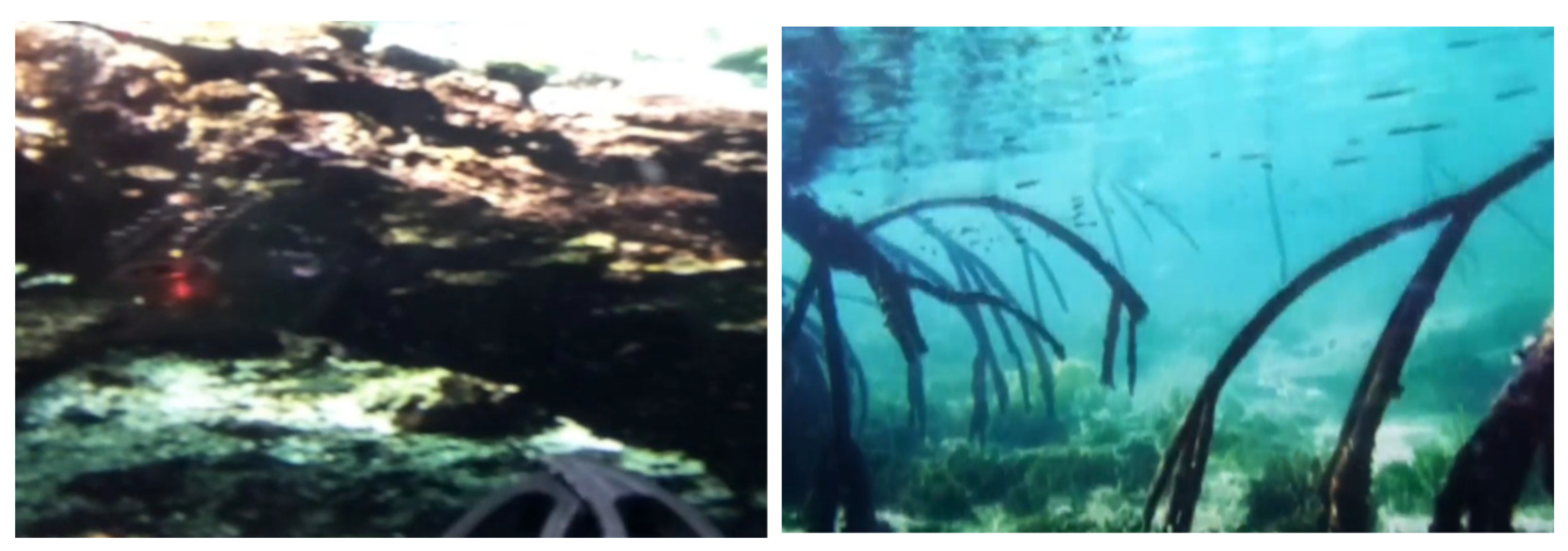 Applsci 15 05910 g022