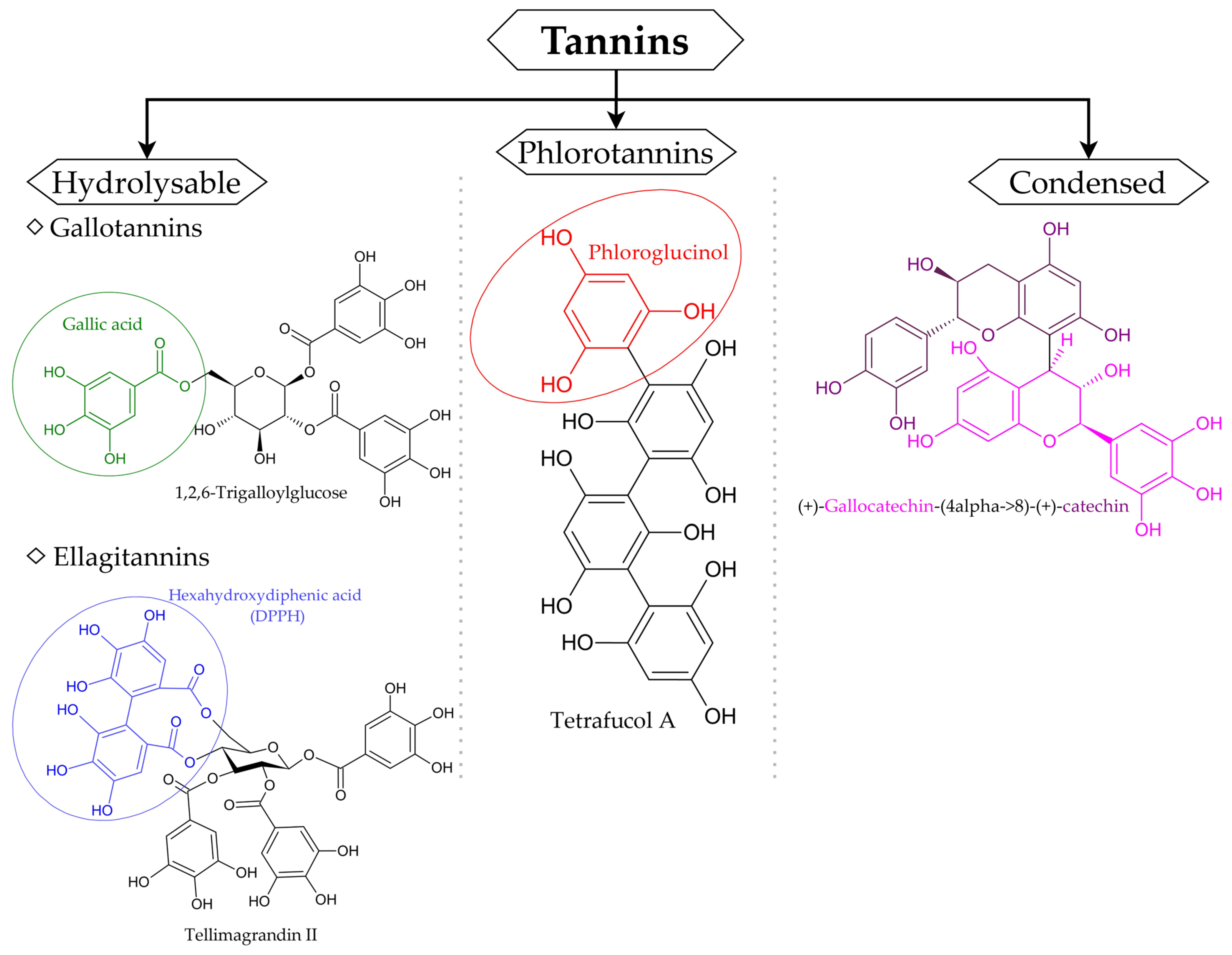 Applsci 15 05914 g002