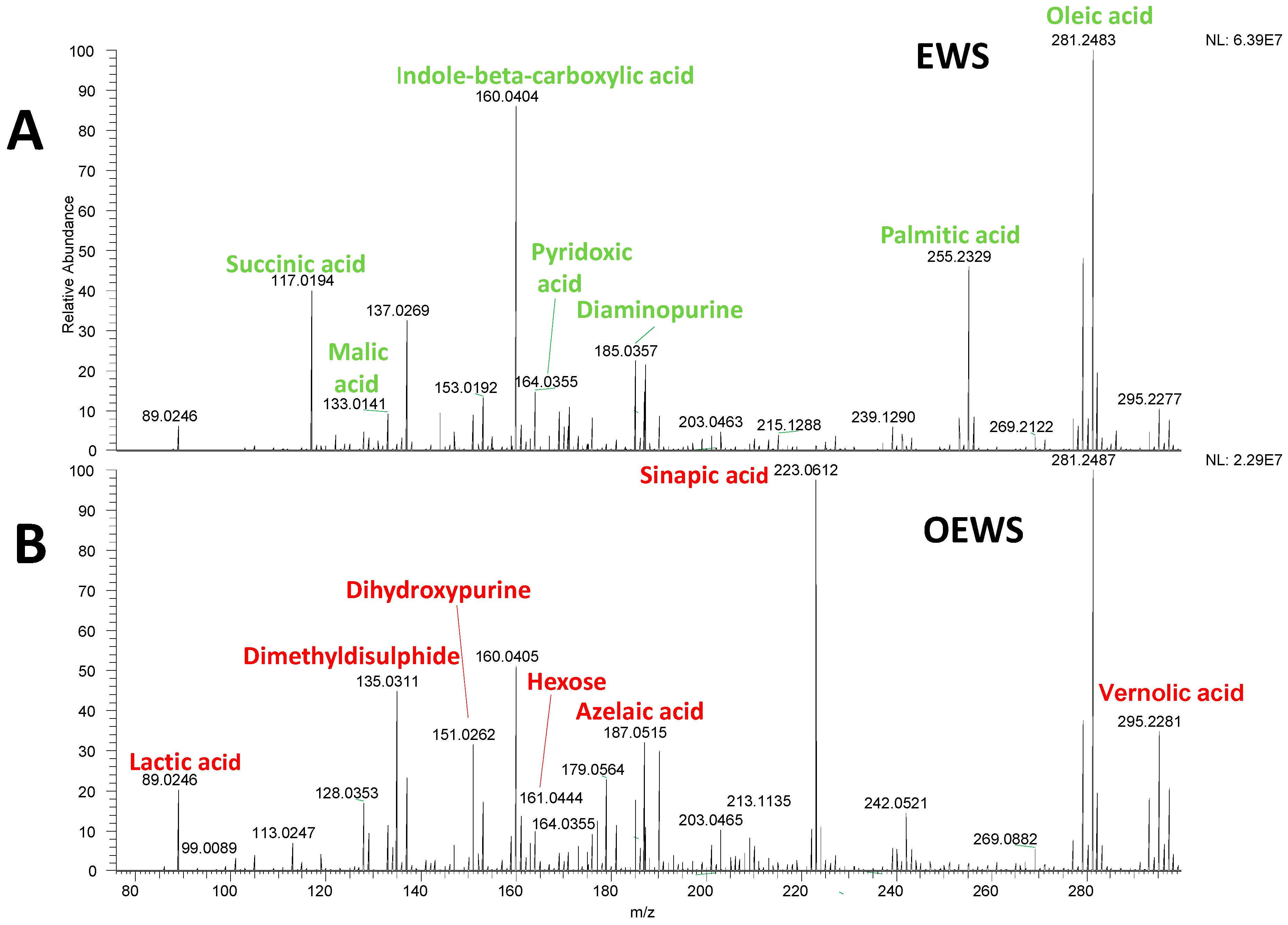 Applsci 15 05952 g001 Applsci 15 05952 g001