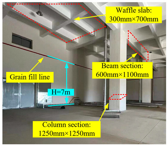 初売り 福袋 Seismic Response Analysis of Multi-Floored Grain Warehouses アクセサリー