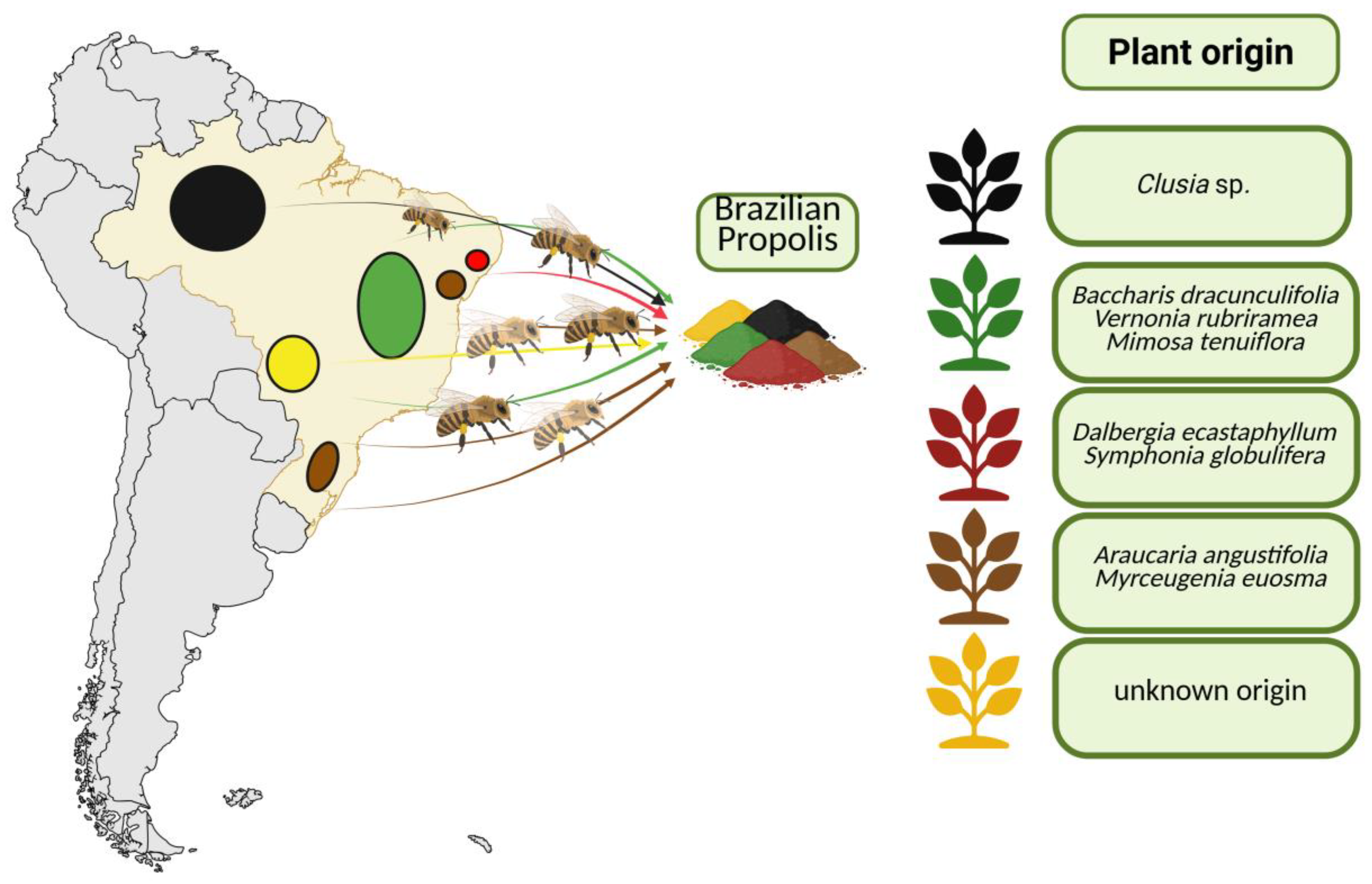 Applsci 15 05994 g003