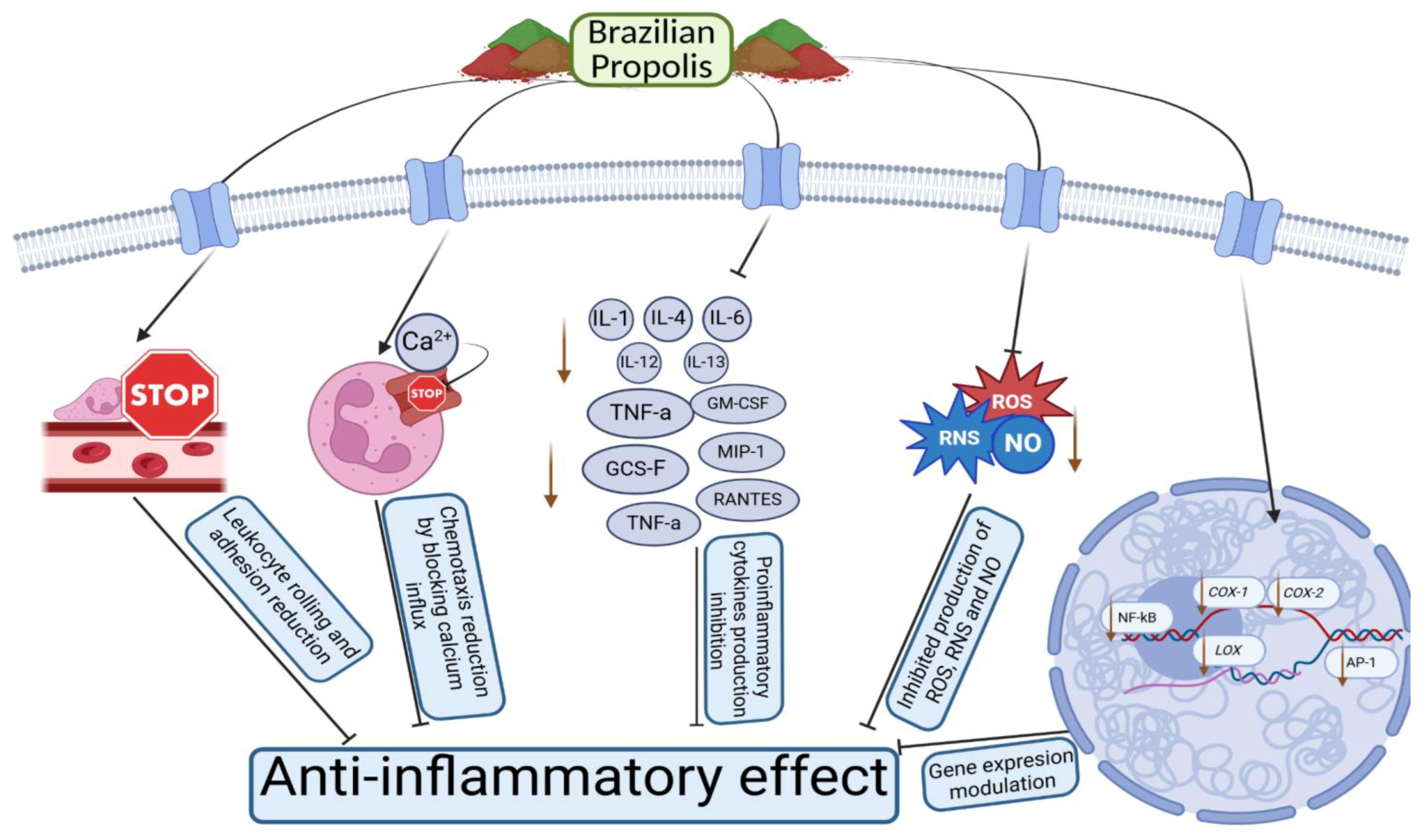 Applsci 15 05994 g005