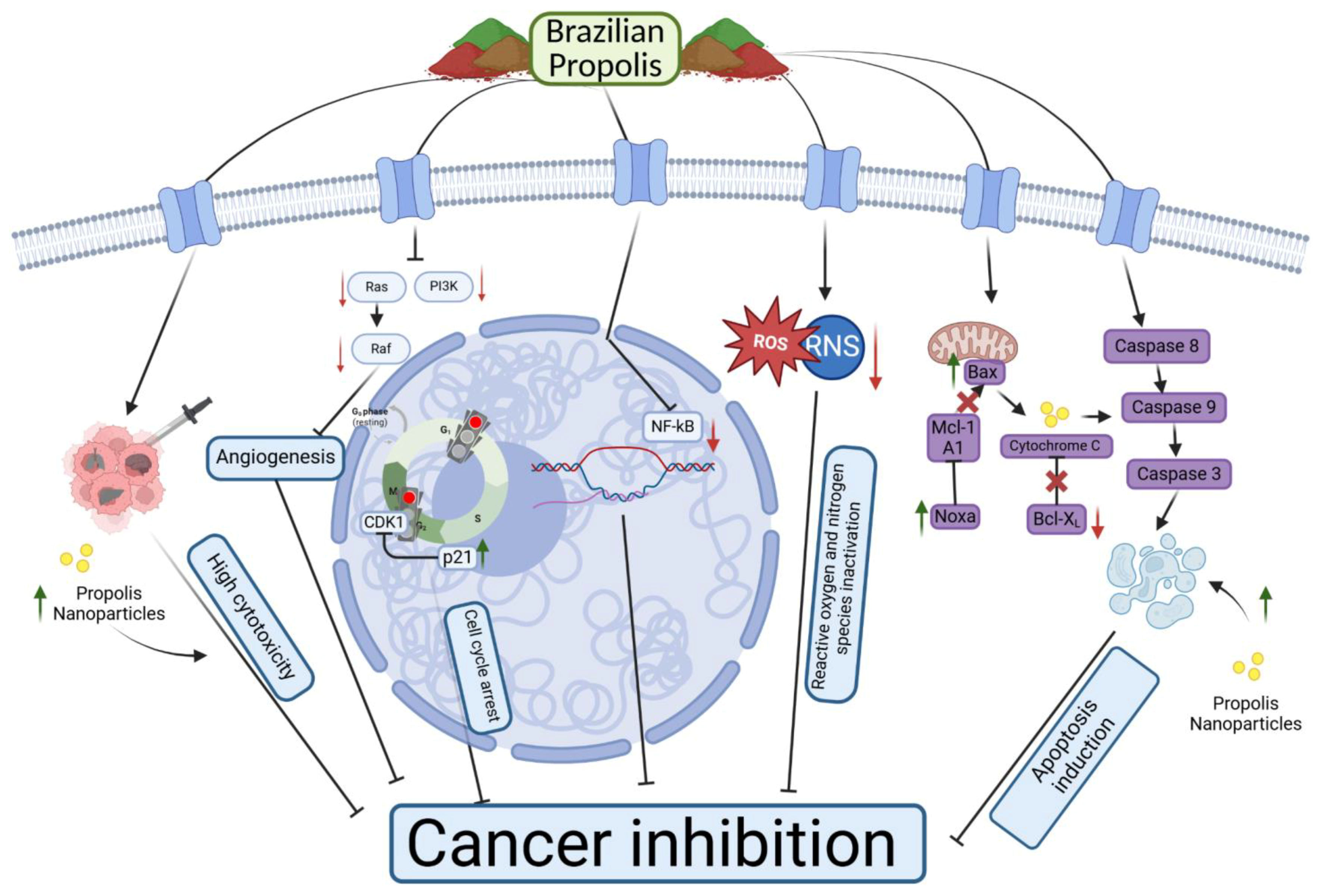 Applsci 15 05994 g006