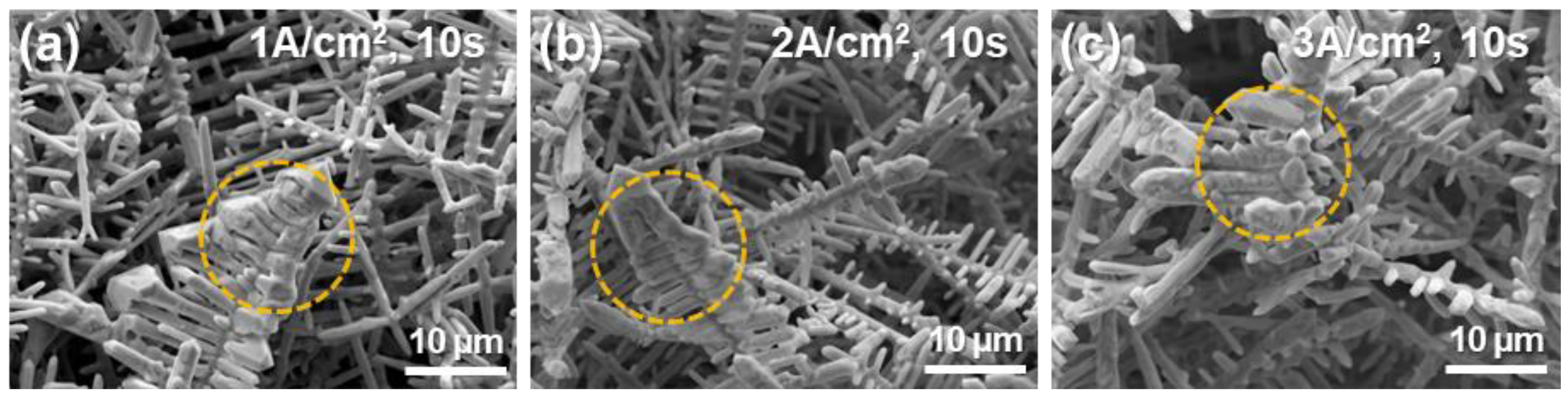 Applsci 15 06026 g002