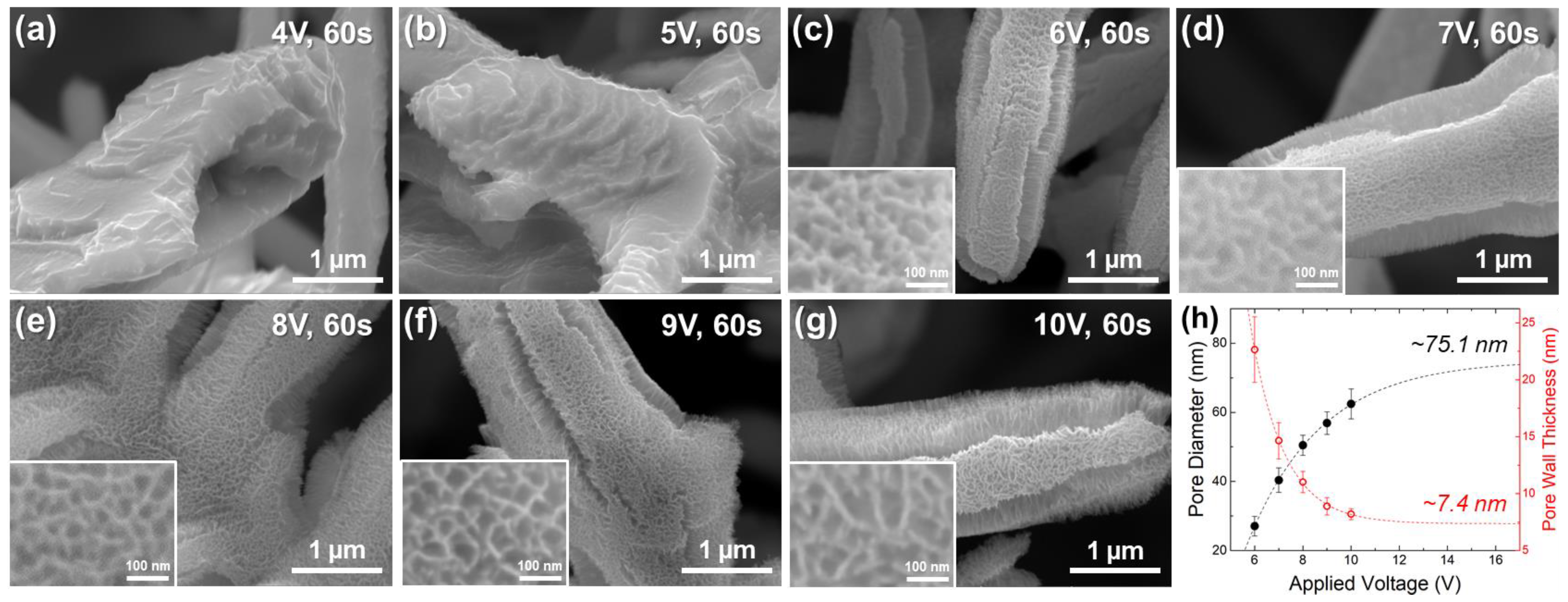 Applsci 15 06026 g005