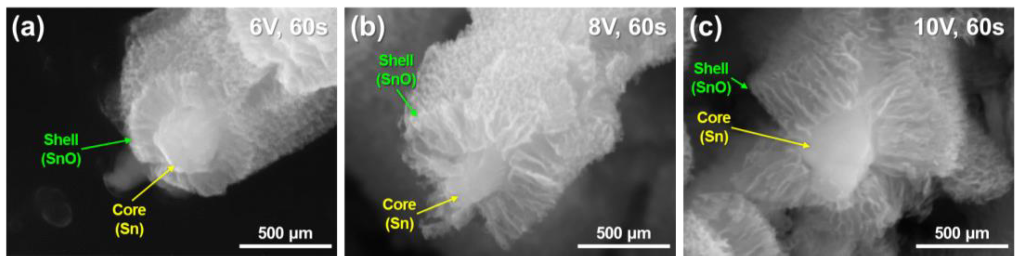 Applsci 15 06026 g007