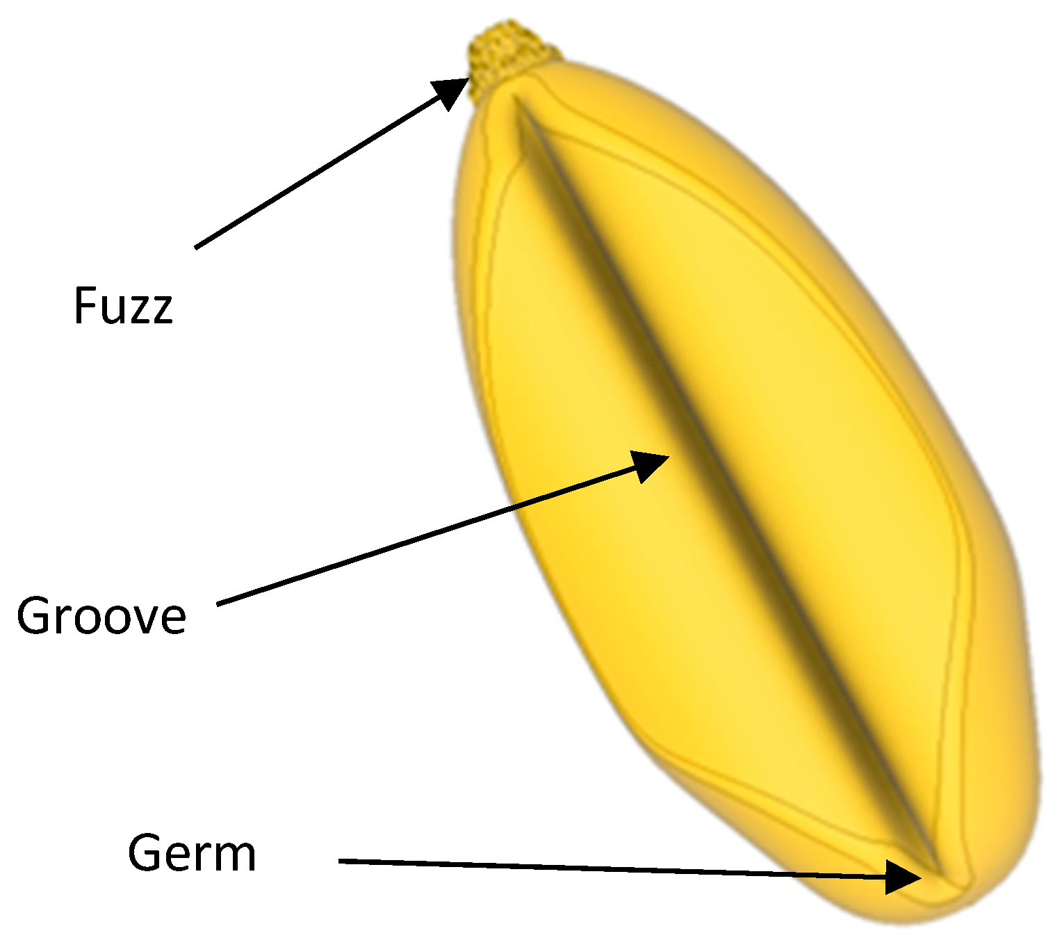 Applsci 15 06055 g001