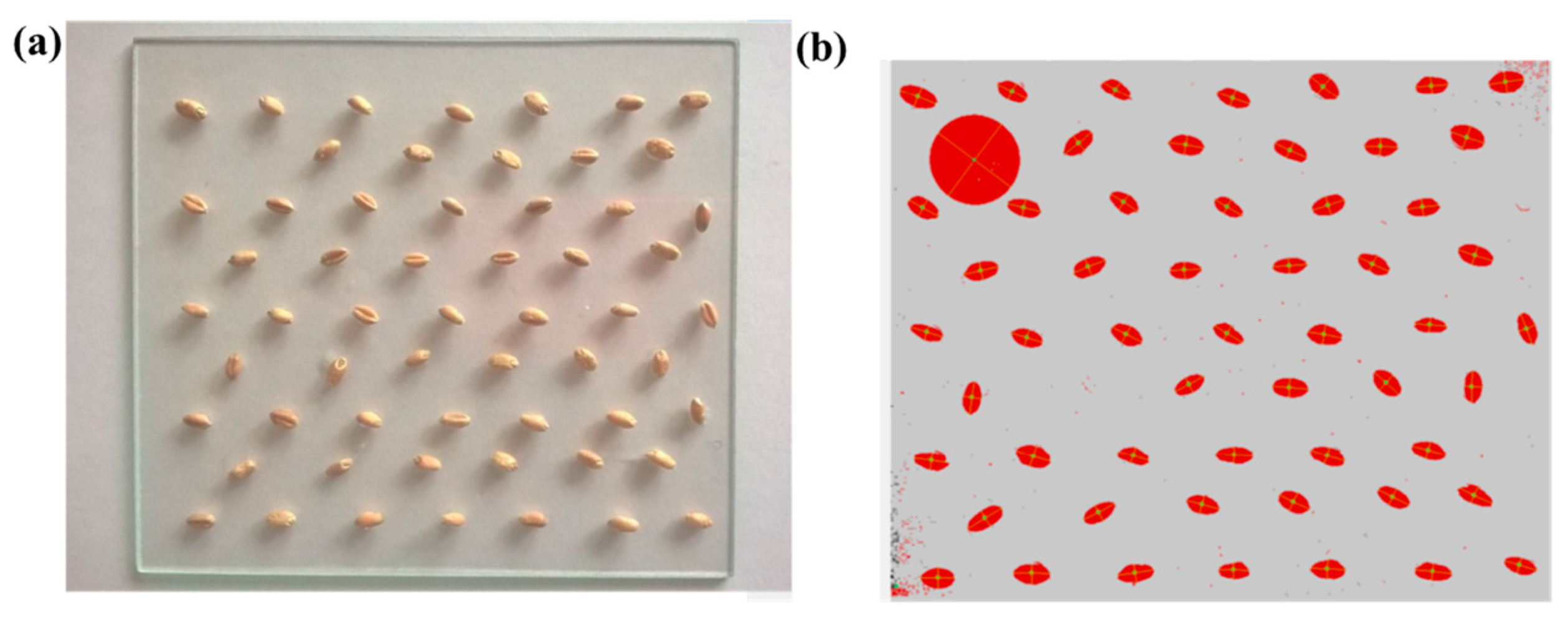 Applsci 15 06055 g008