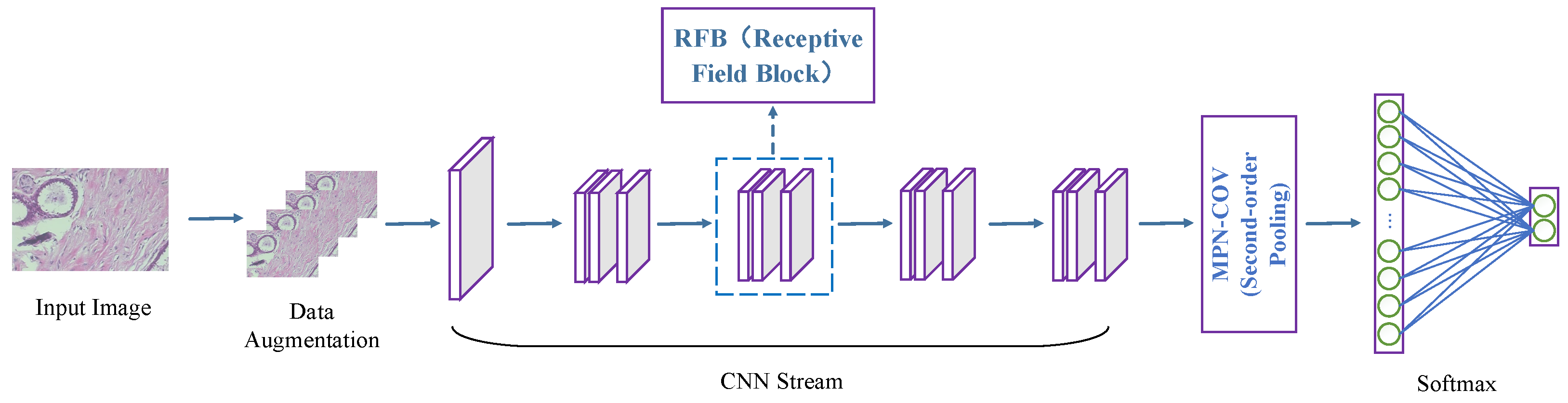 Applsci 15 06085 g001