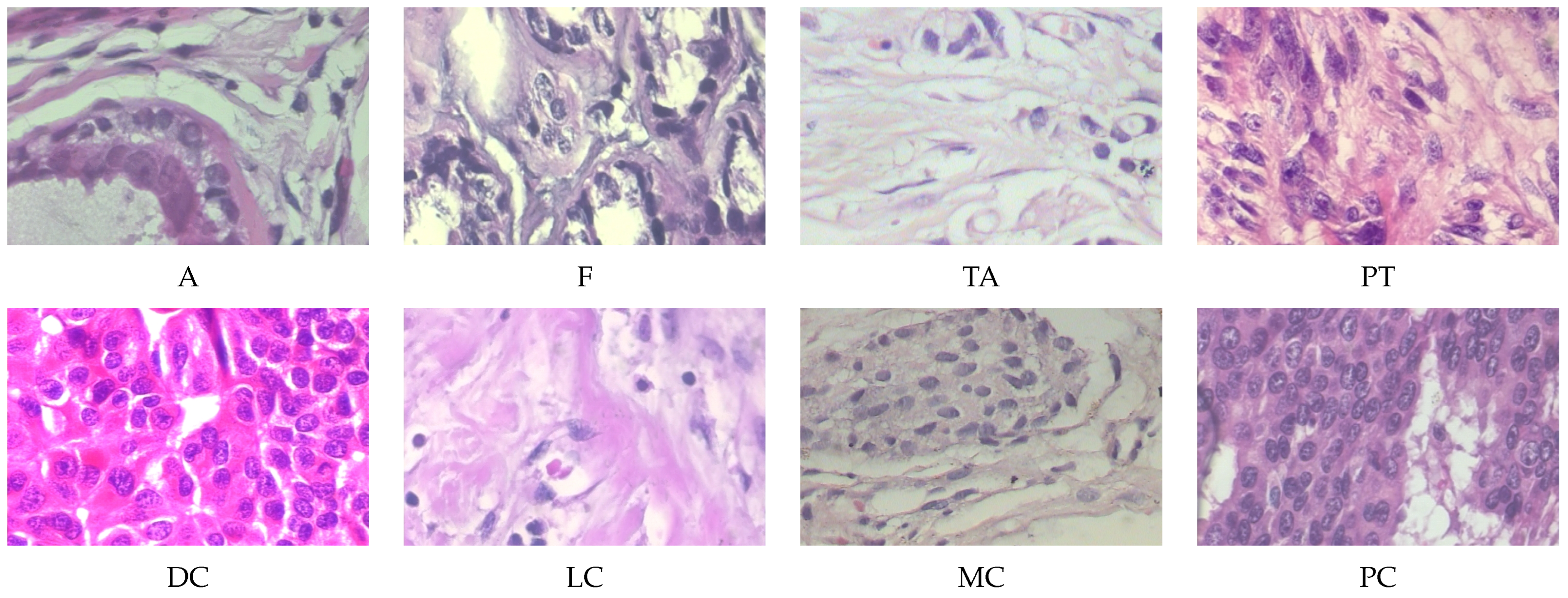 Applsci 15 06085 g004