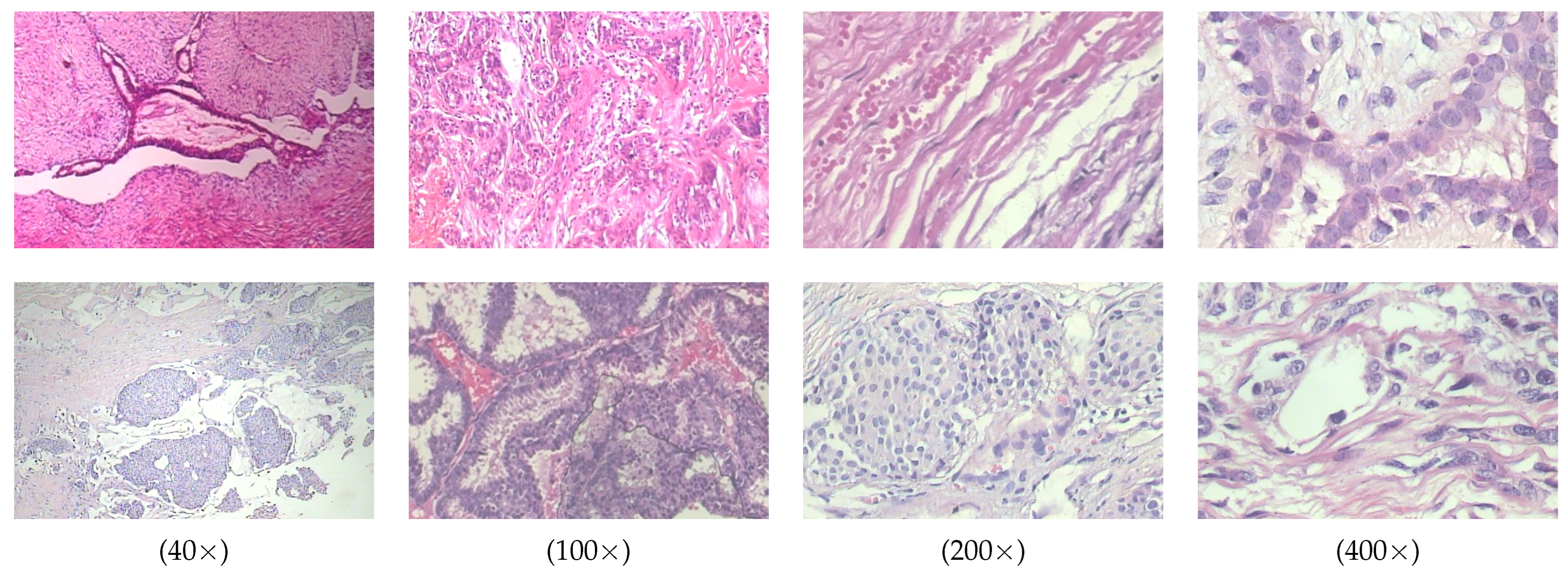 Applsci 15 06085 g009