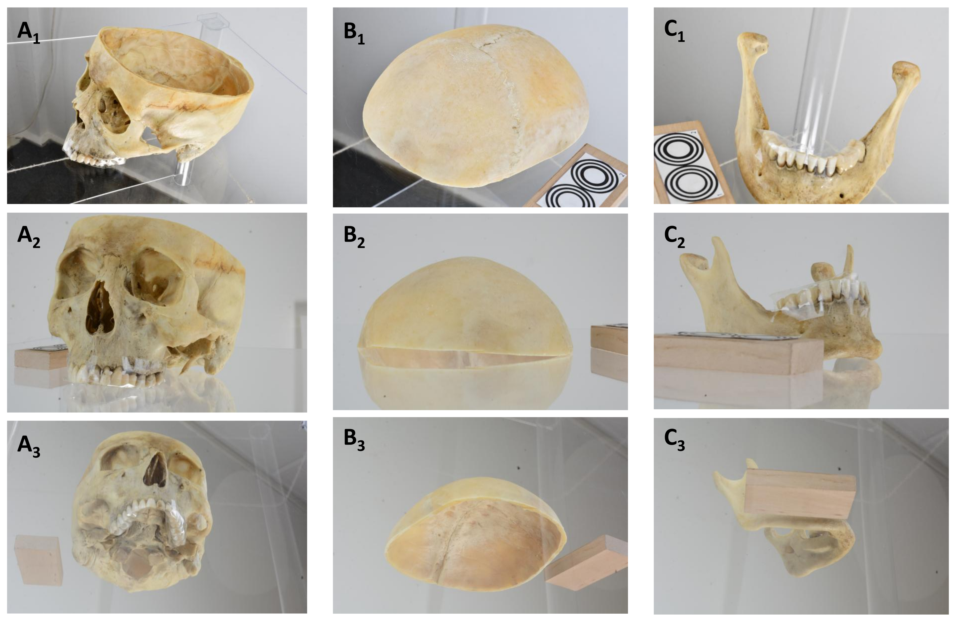 Applsci 15 06086 g006