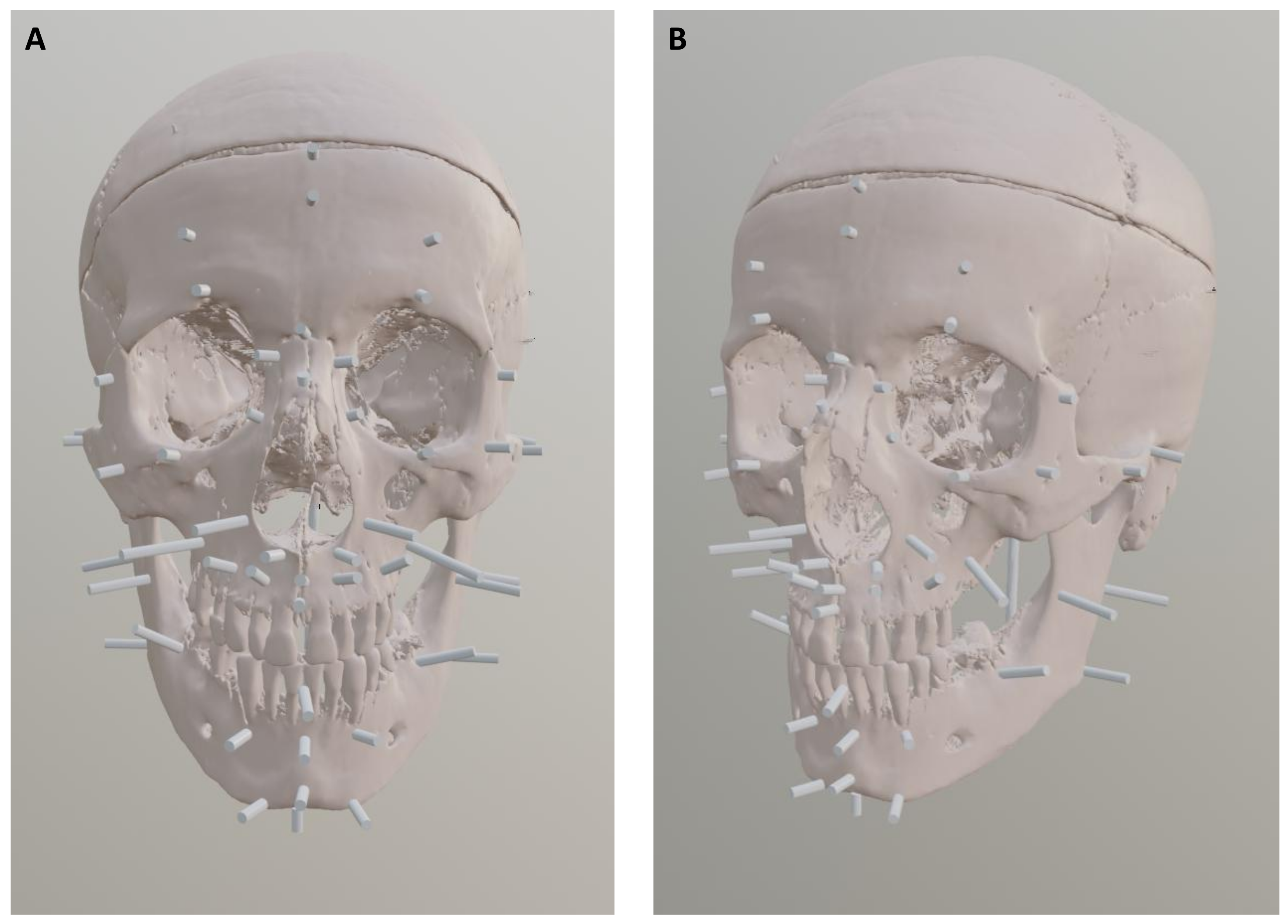 Applsci 15 06086 g008
