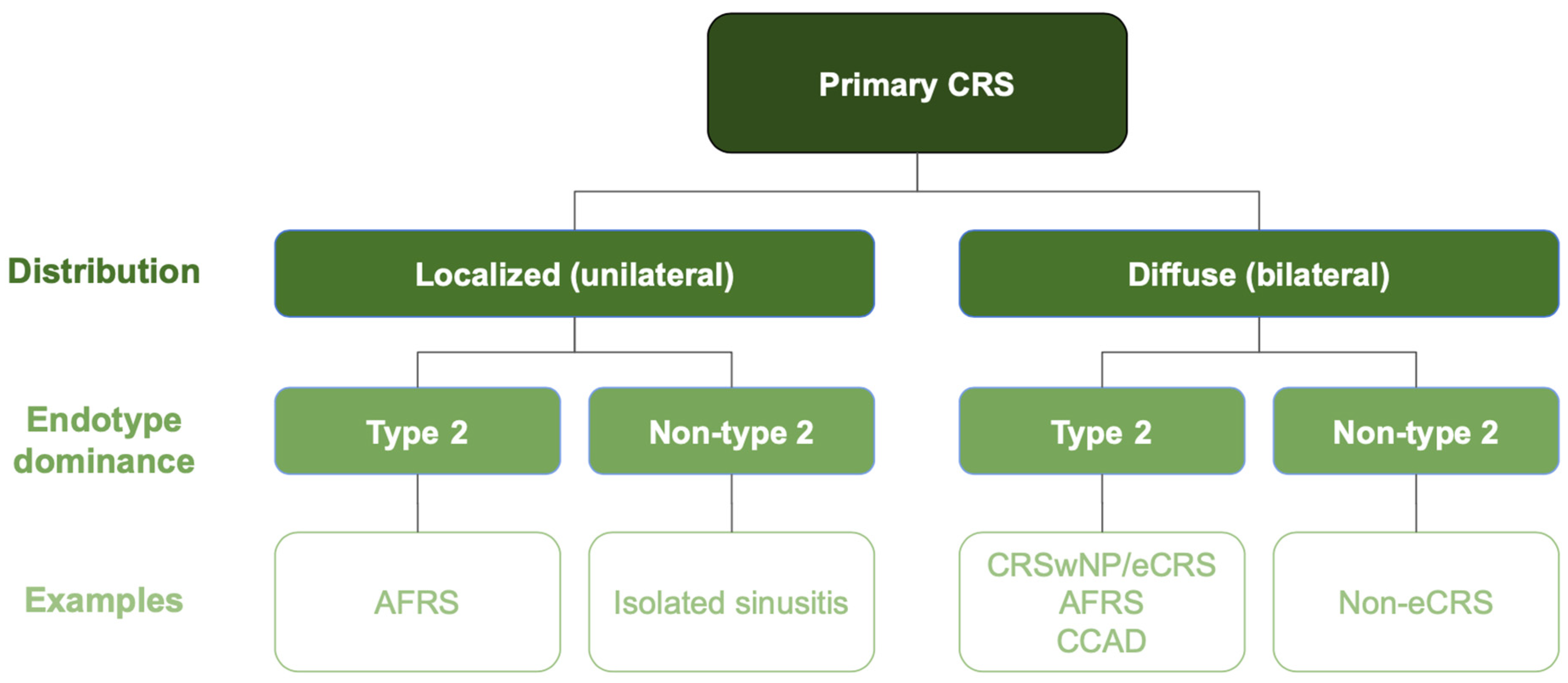 Applsci 15 06108 g001