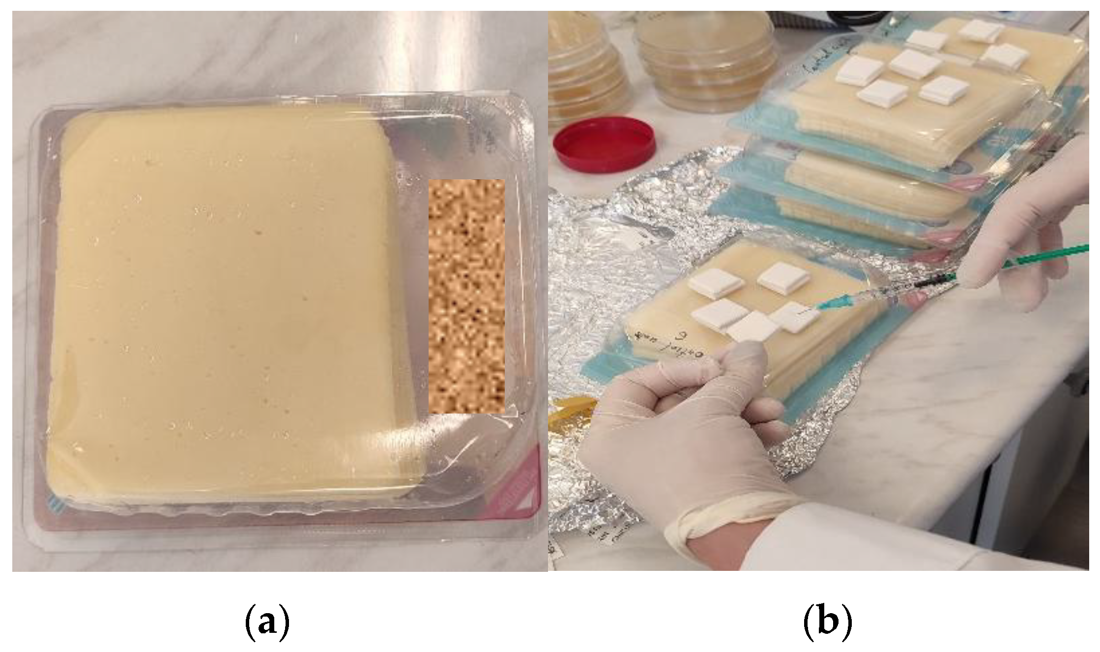 Applsci 15 06109 g001