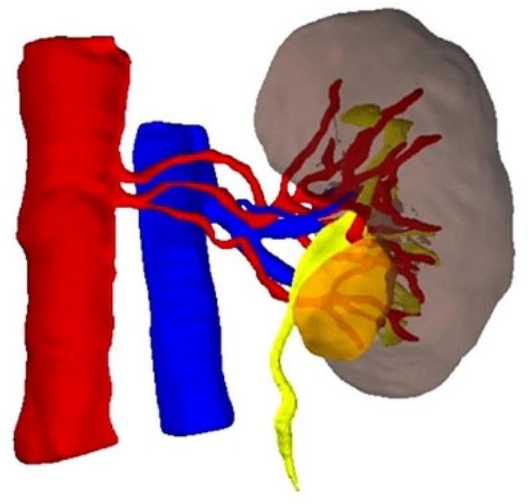 Applsci 15 06118 g002