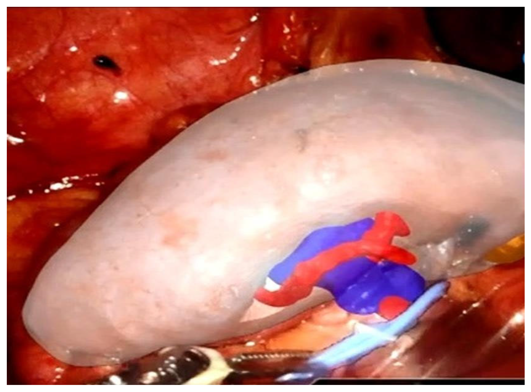 Applsci 15 06118 g003