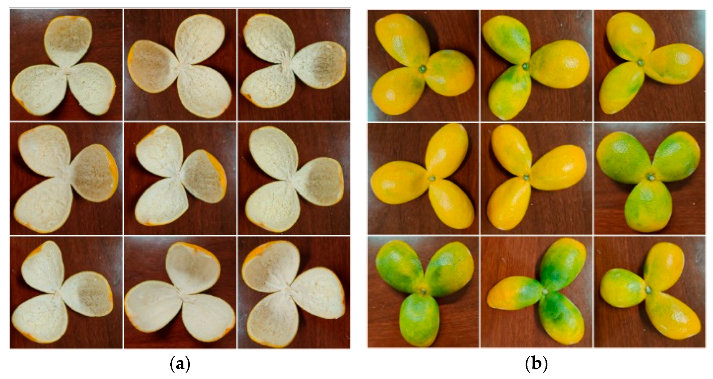 Applsci 15 06130 g001