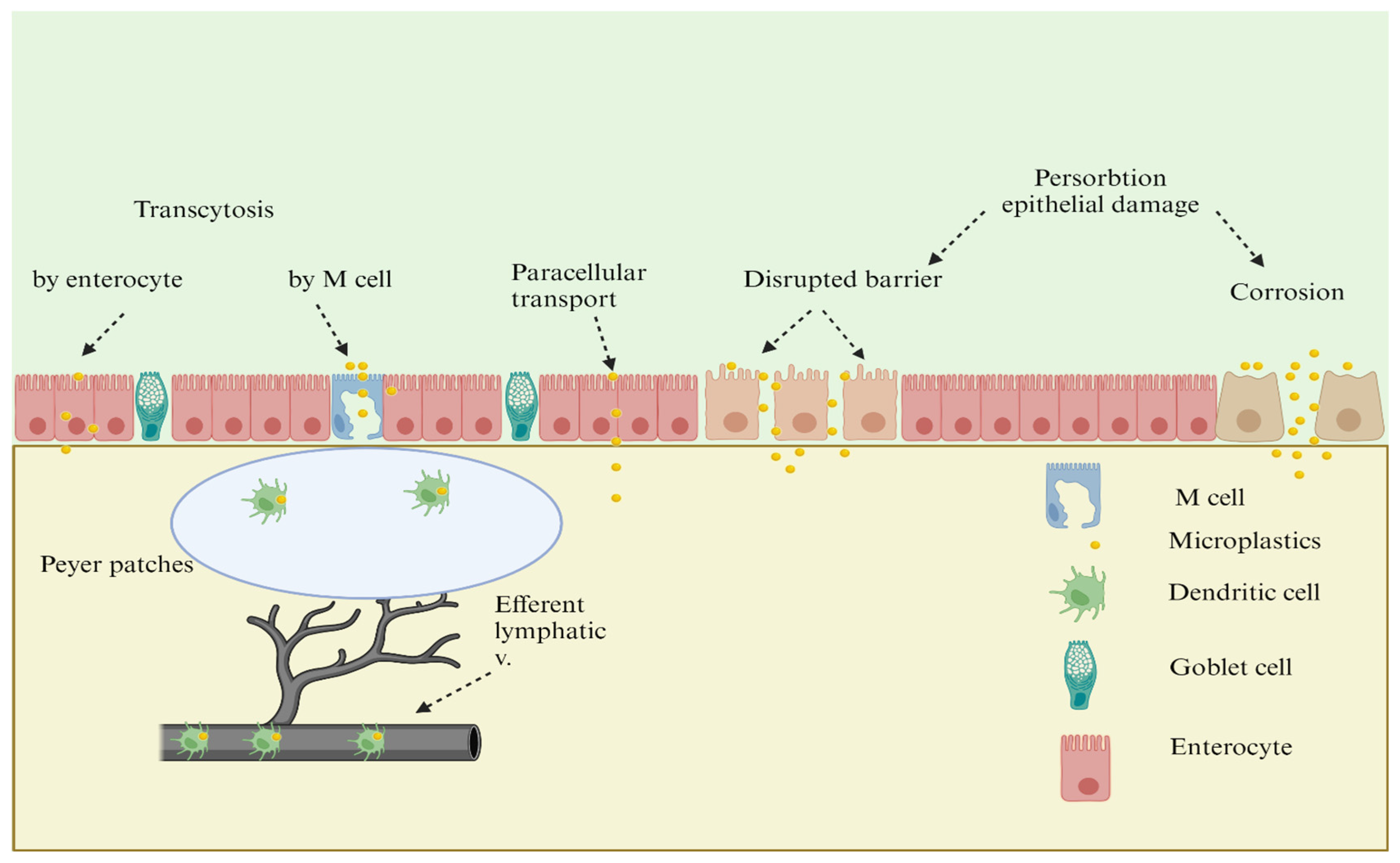 Applsci 15 06135 g002