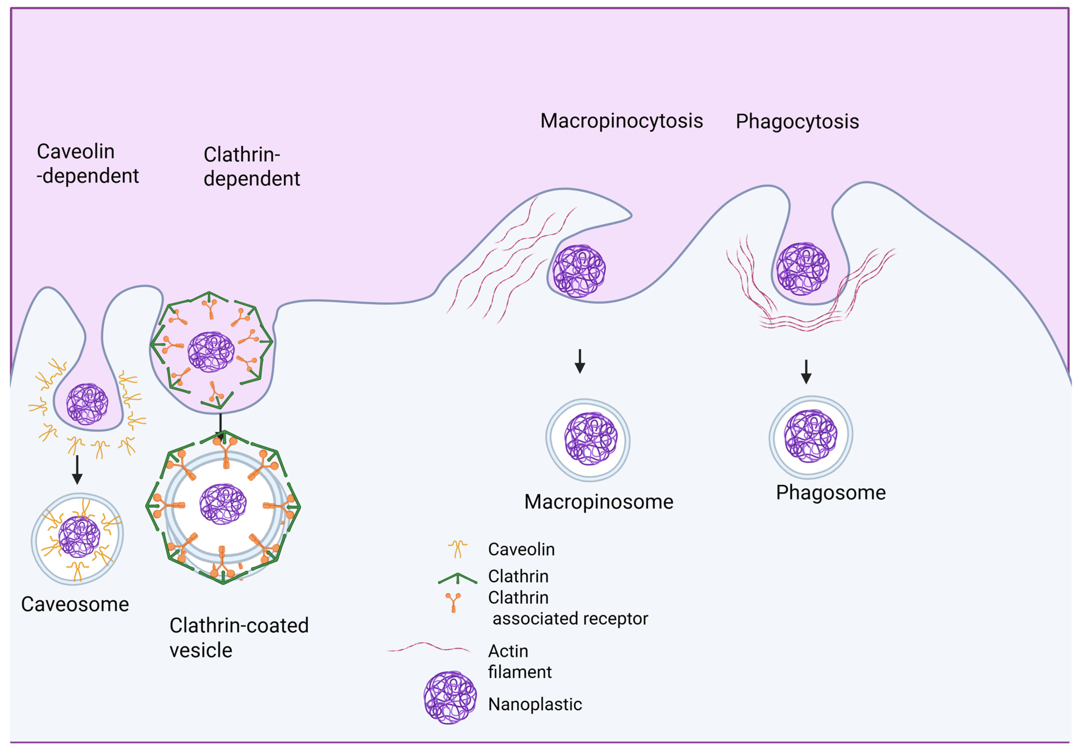 Applsci 15 06135 g003