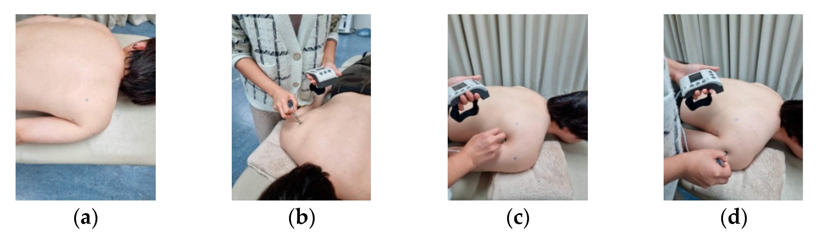 Applsci 15 06147 g002