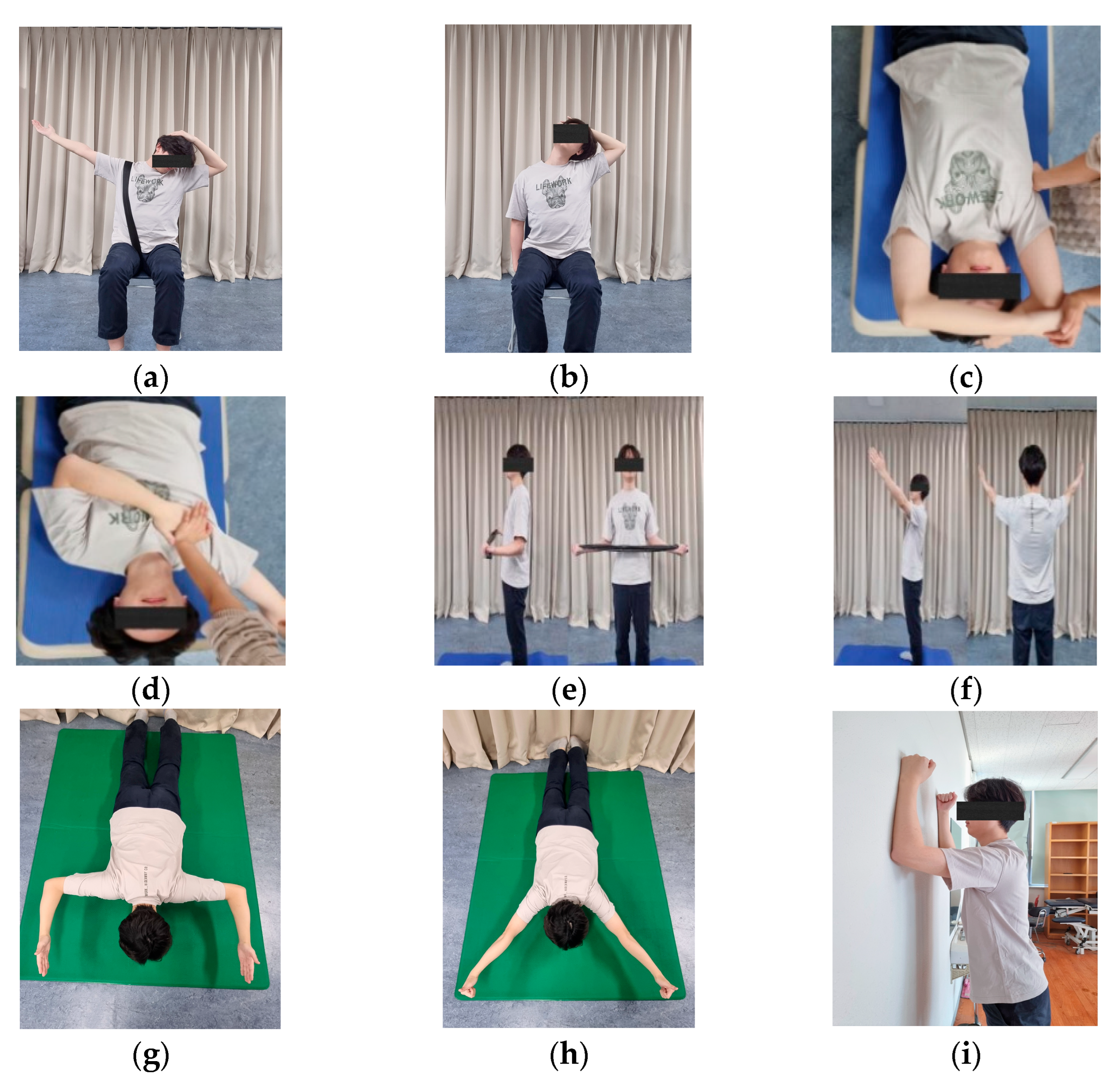 Applsci 15 06147 g003