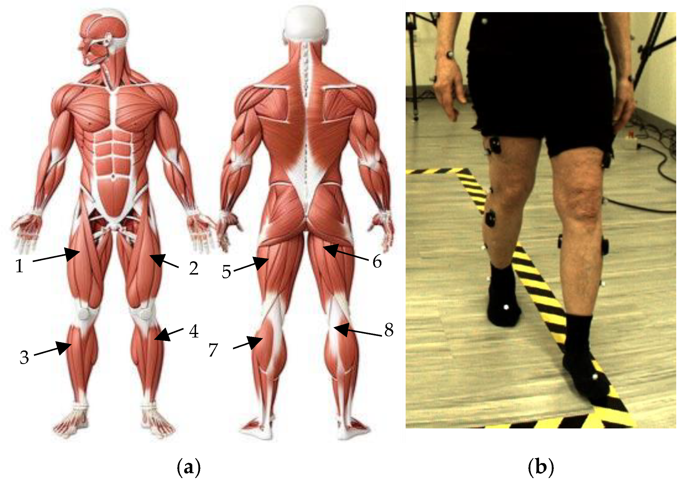 Applsci 15 06151 g001